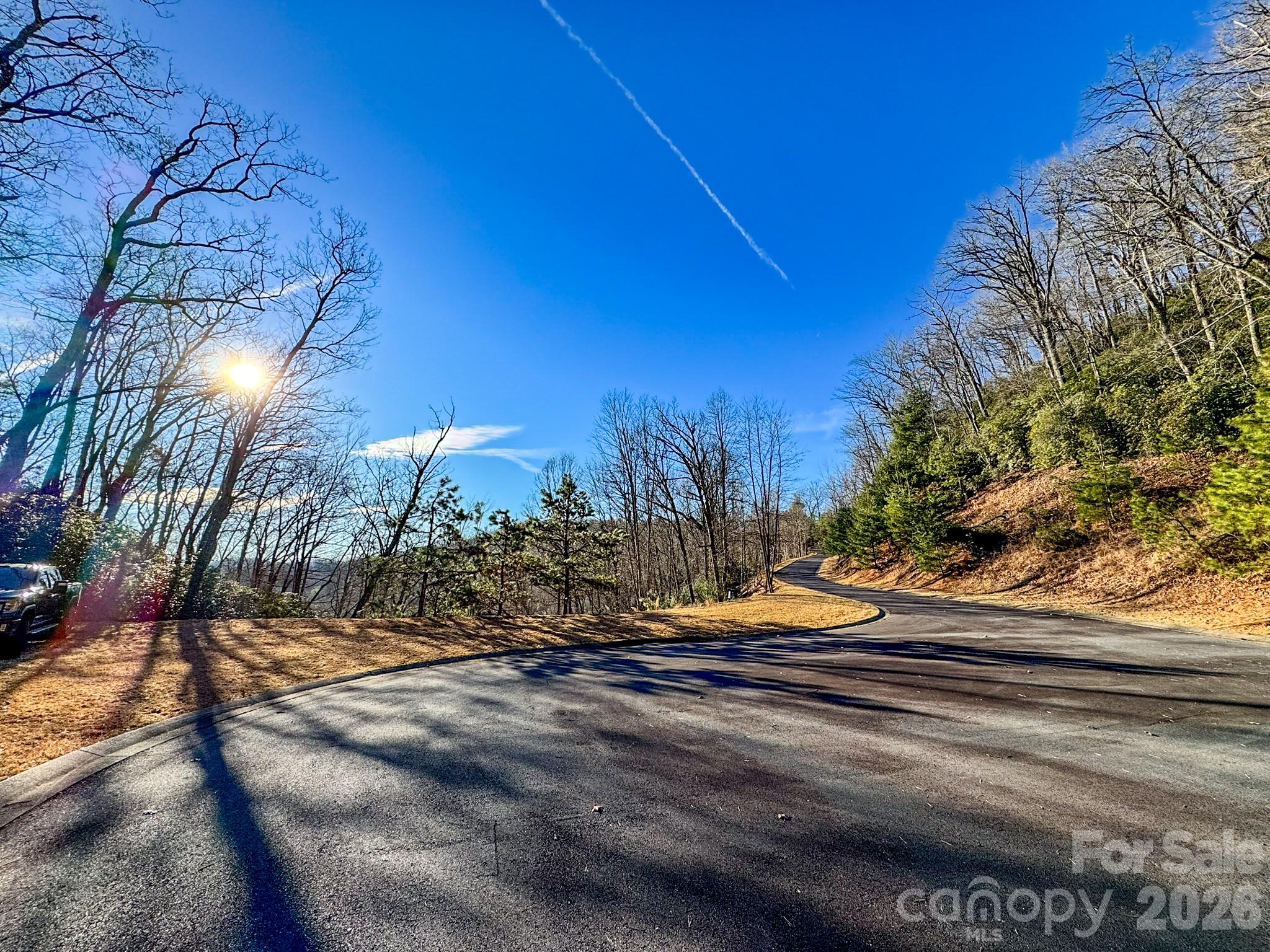 Homestead at Mills River - Land