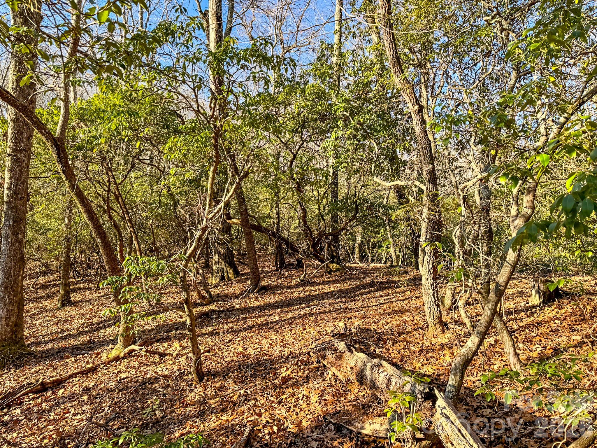 Homestead at Mills River - Land
