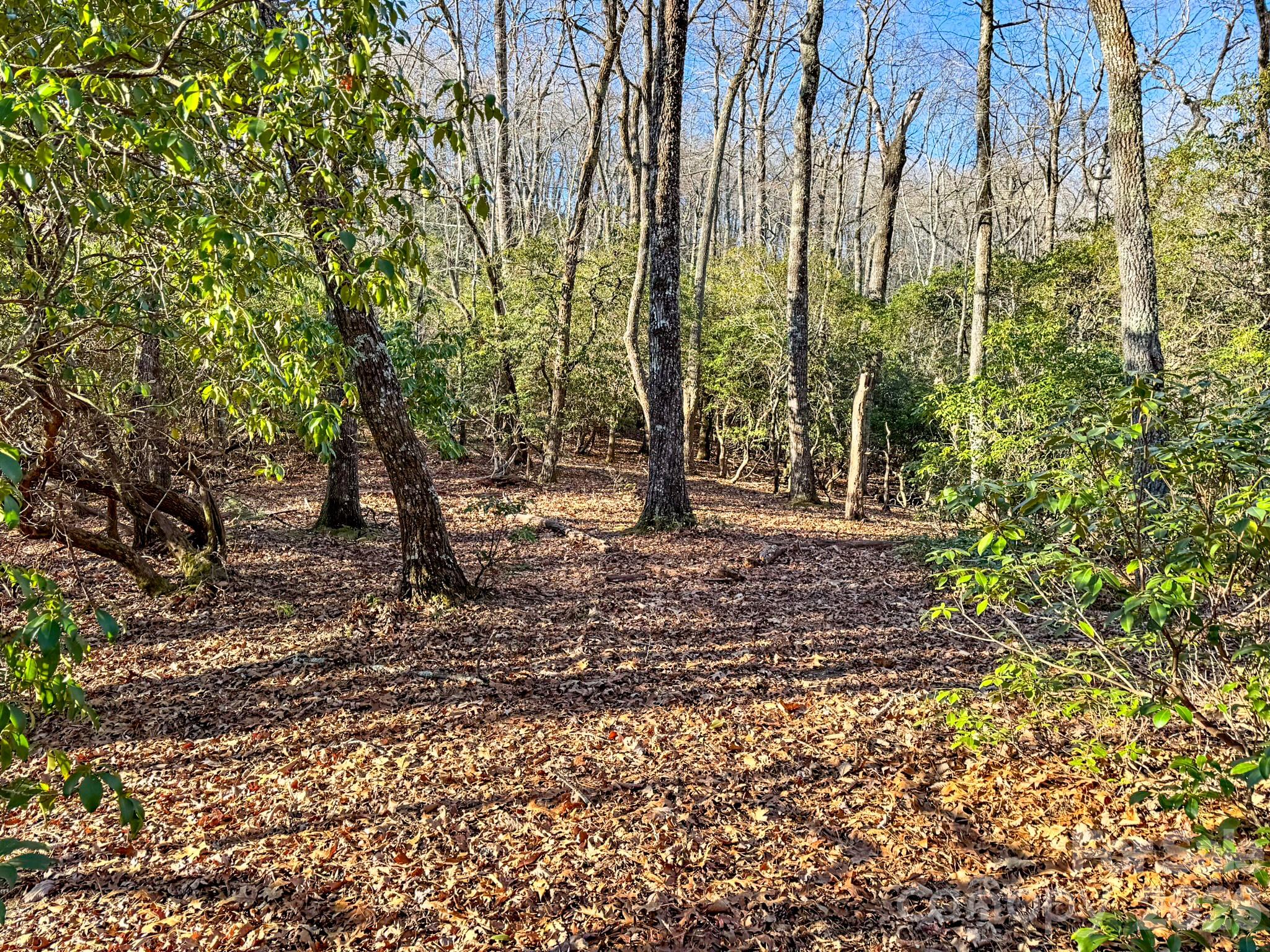 Homestead at Mills River - Land