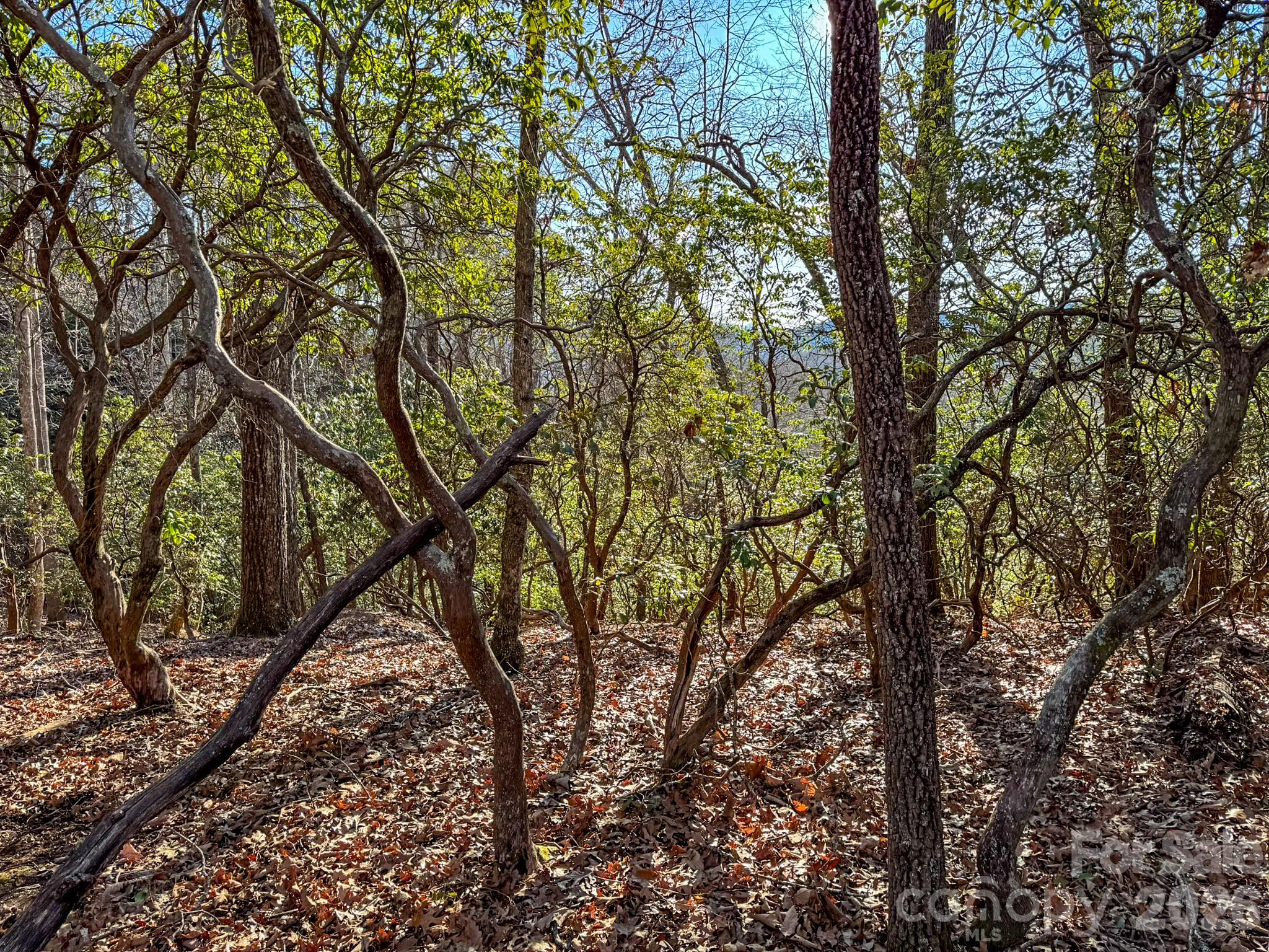 Homestead at Mills River - Land