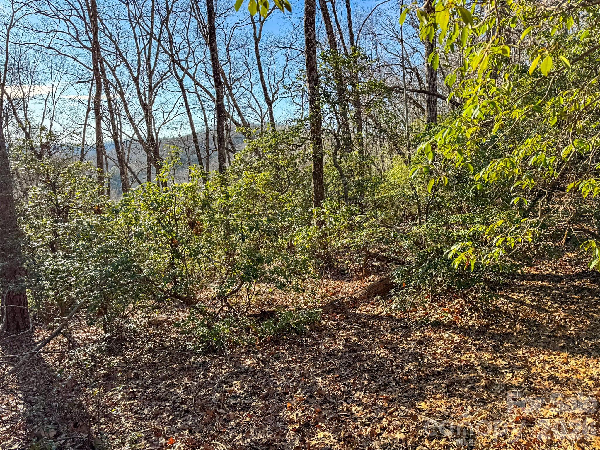 Homestead at Mills River - Land