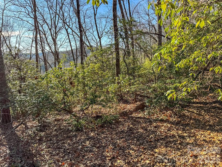 1647 Mills River Way (Lot 104) is located in the private community of Homestead at Mills River. The property is approximately 5 miles from Ingles on Hwy 280 and the new Publix, which is currently under construction, with Sierra Nevada Brewery and Asheville Regional Airport just minutes away. This location offers a strong balance of privacy and convenience.

Situated at the back of the neighborhood in a cul-de-sac, the lot provides excellent privacy. It backs up to two large parcels, with Pisgah National Forest beyond them, creating a protected natural backdrop and easy access to some of the best hiking, mountain biking, camping, and trout fishing in Western North Carolina.

The homesite is fully wooded with mature hardwoods and native rhododendron and mountain laurel. Unlike many lots in the community, Lot 104 features a usable, level build site. The road up from the cul-de-sac has some grade, but the building area levels out nicely and opens to a northeastern mountain view.

Community features include paved roads, underground power, and wired internet. Owners also enjoy access to the 10-acre Homestead River Reserve riverfront park and clubhouse on the Mills River.

If you’re looking for privacy, usable topography, and long-term natural surroundings within a well-maintained community, Lot 104 is worth a closer look. Schedule your showing today.