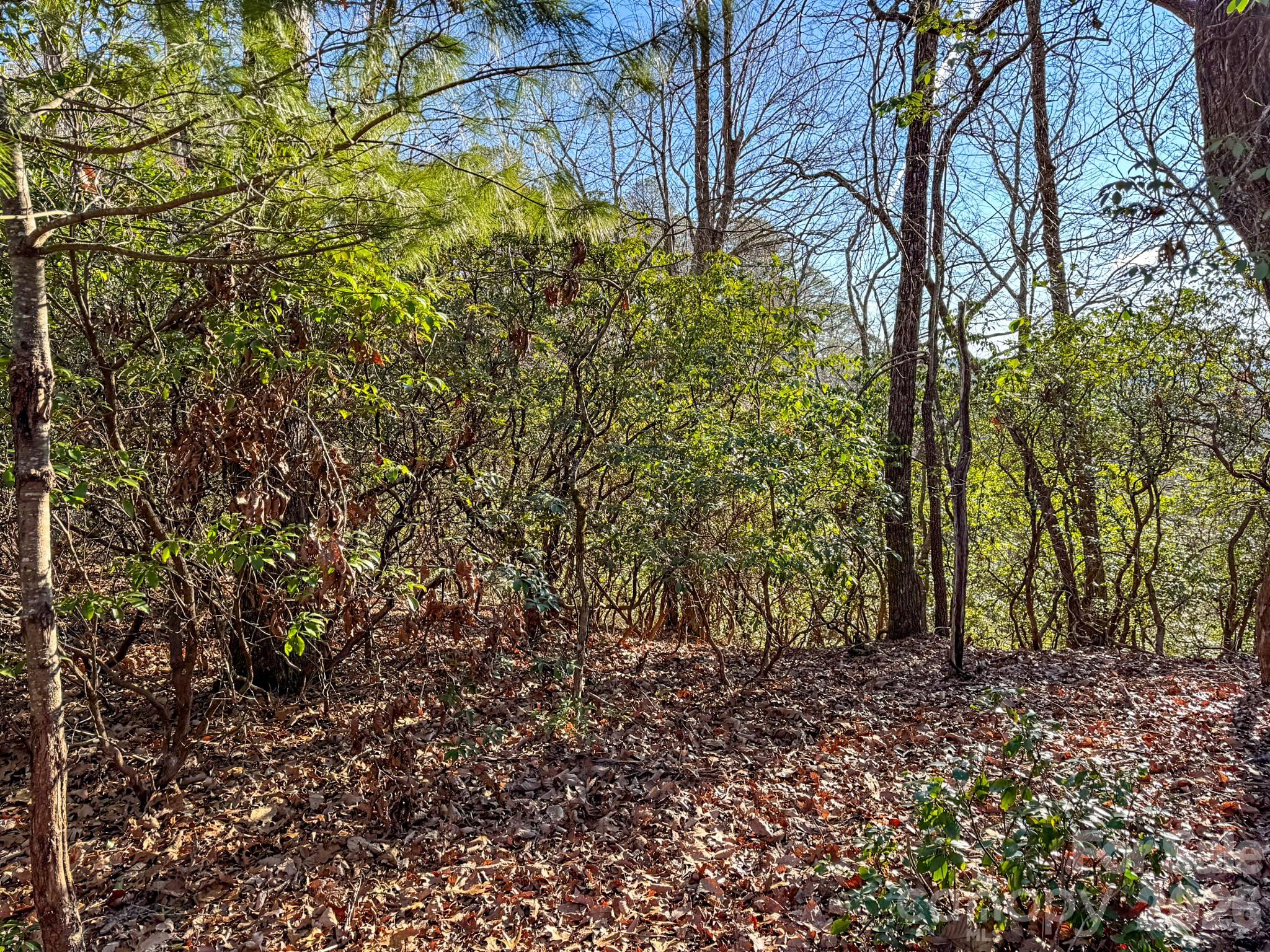 Homestead at Mills River - Land