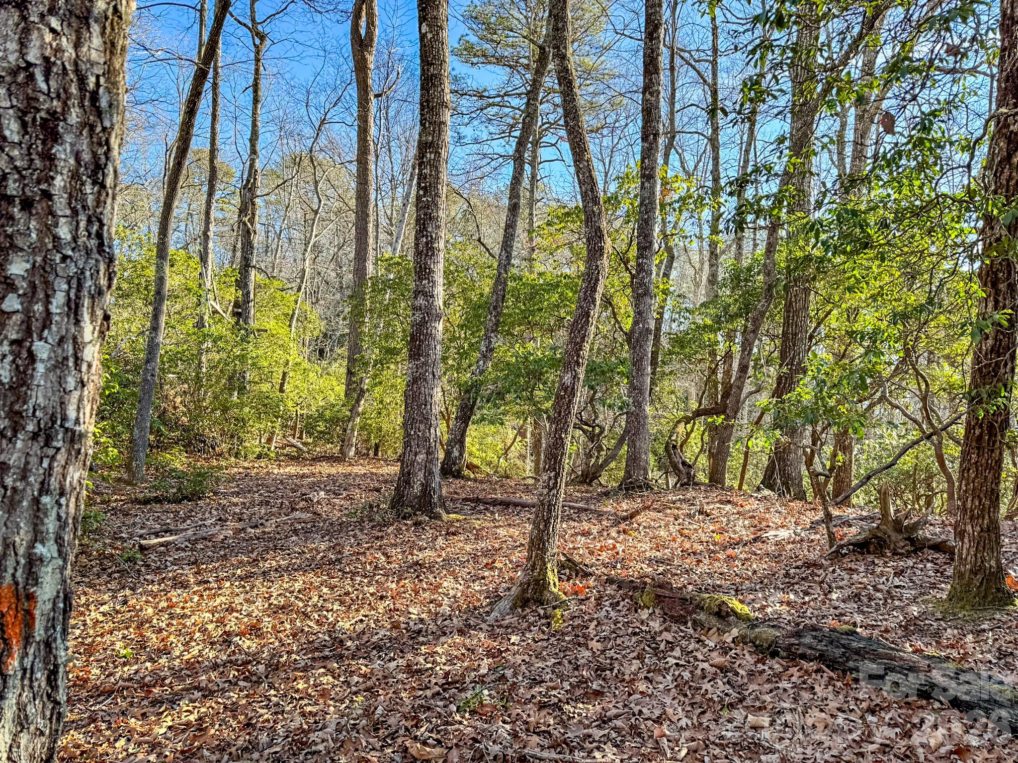 Homestead at Mills River - Land