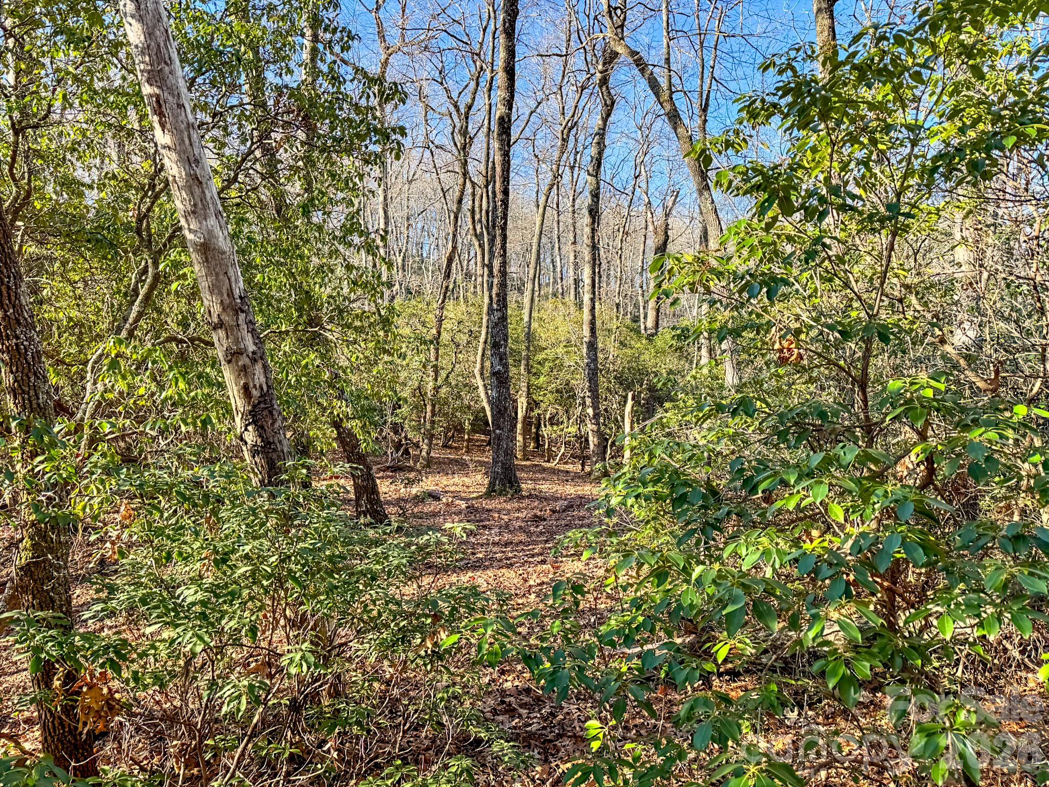 Homestead at Mills River - Land