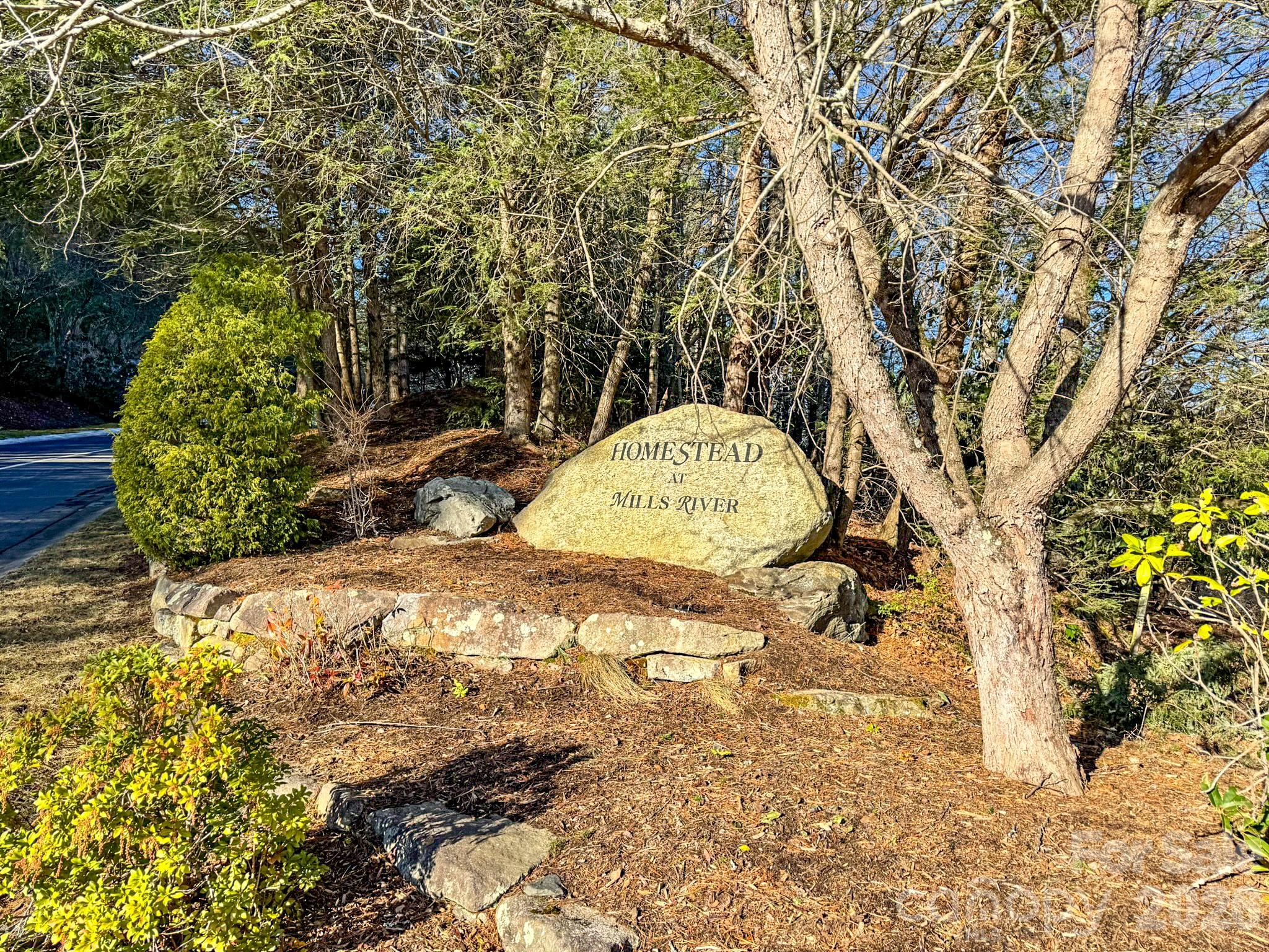 Homestead at Mills River - Land
