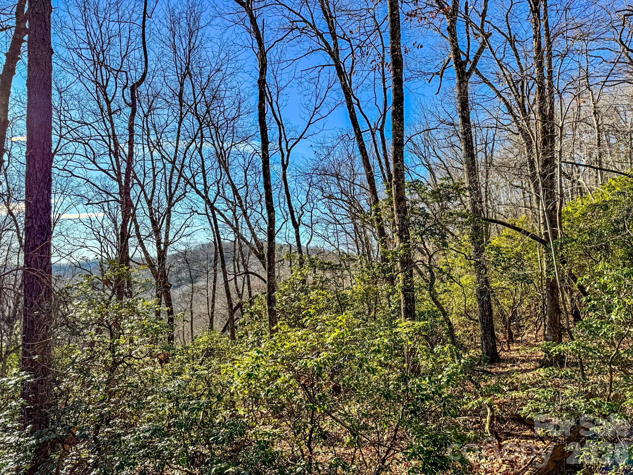 Homestead at Mills River - Land