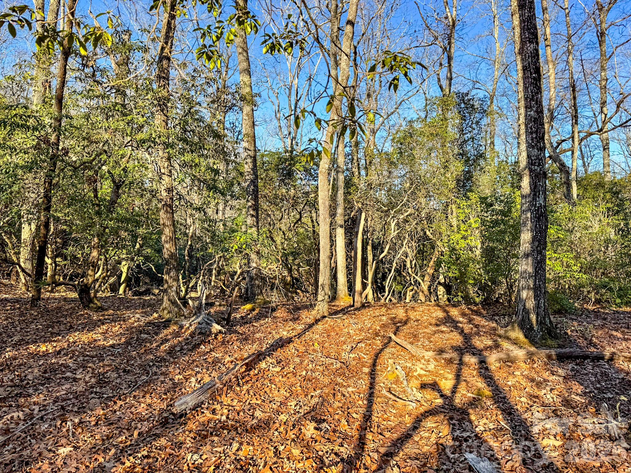 Homestead at Mills River - Land