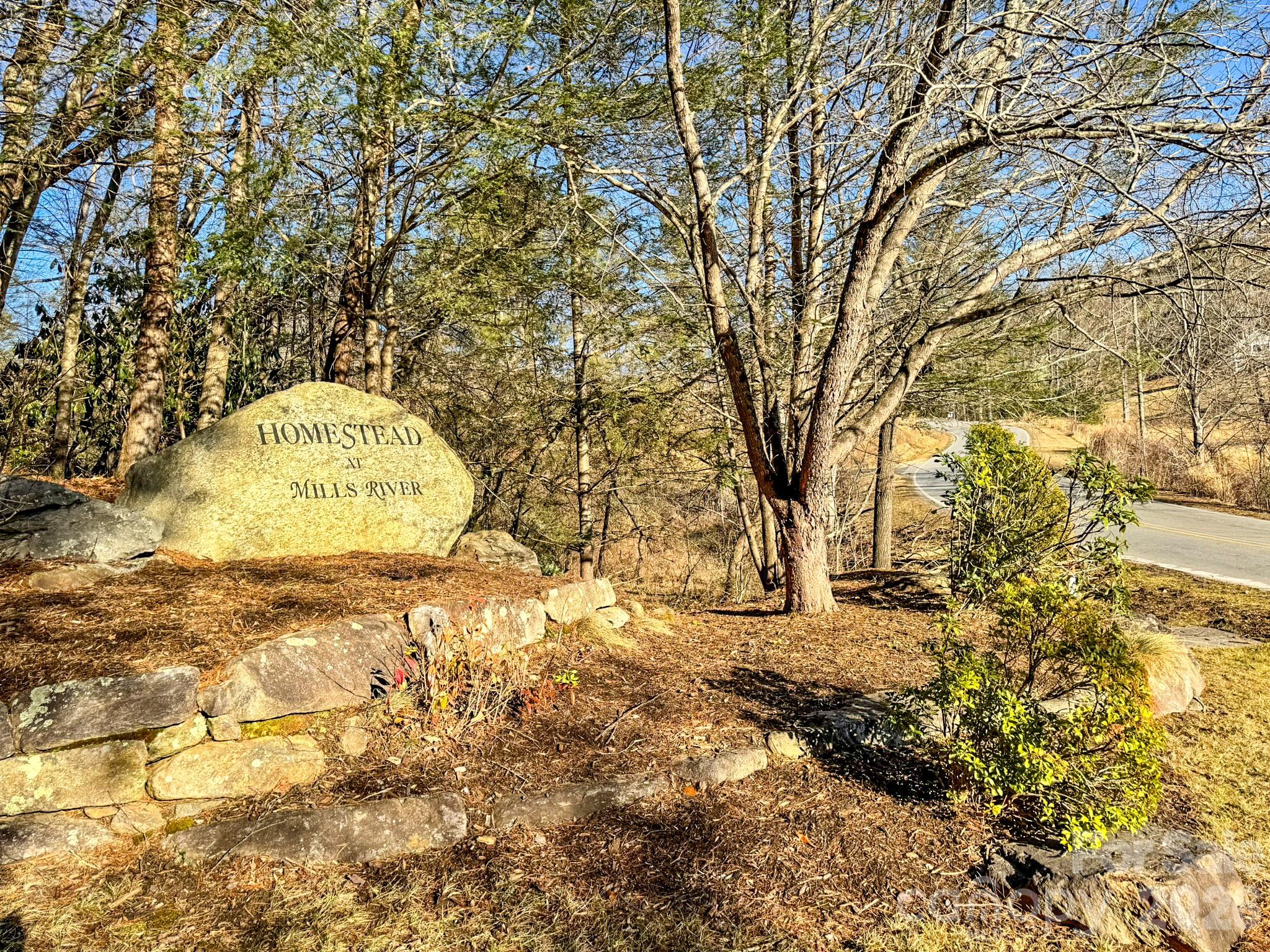 Homestead at Mills River - Land