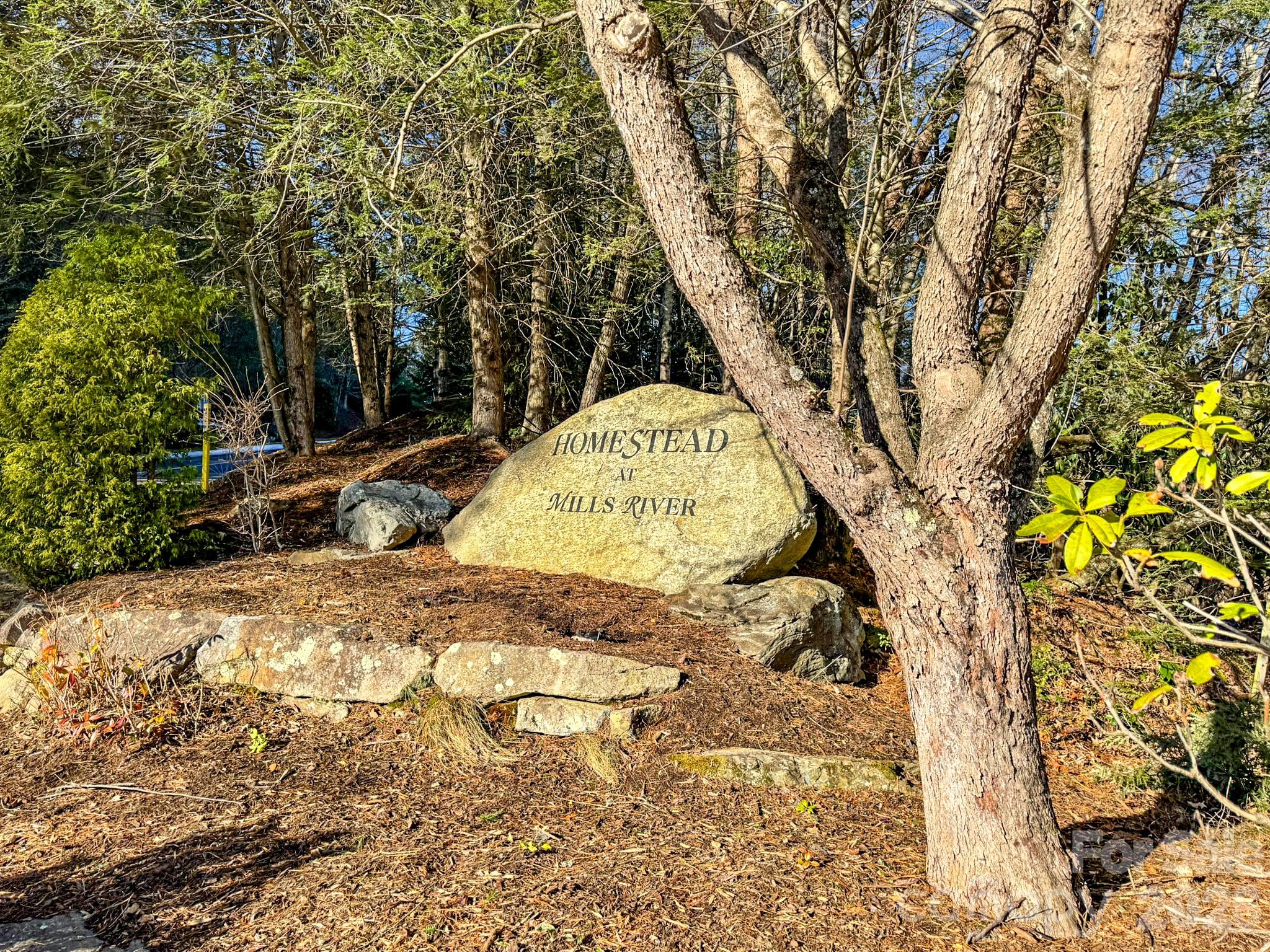 Homestead at Mills River - Land