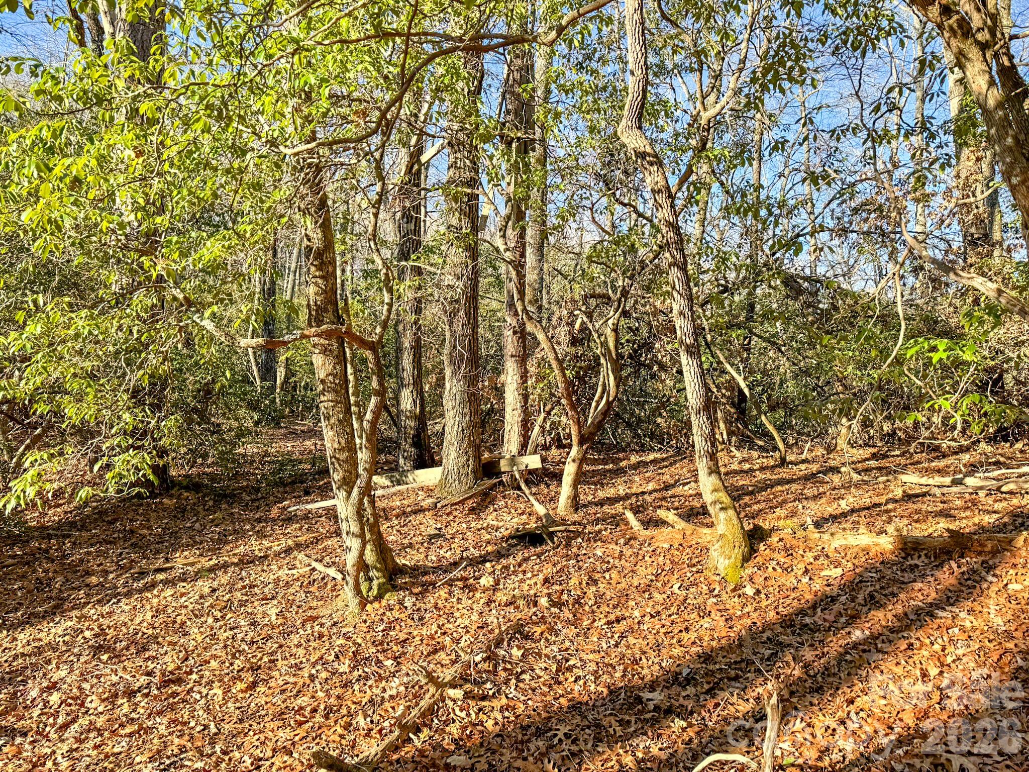 Homestead at Mills River - Land
