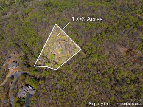 1026 Chippawa Drive 69 Arden NC 28704