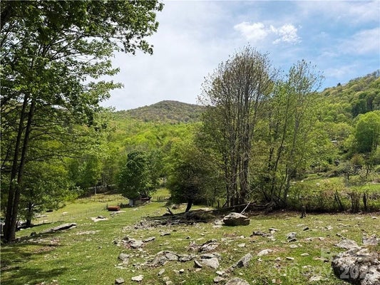 SPICE CREEK RD, BANNER ELK, NC 28604 - Image e81d492e7008c23d3c4e63a9b15805de/1346695904