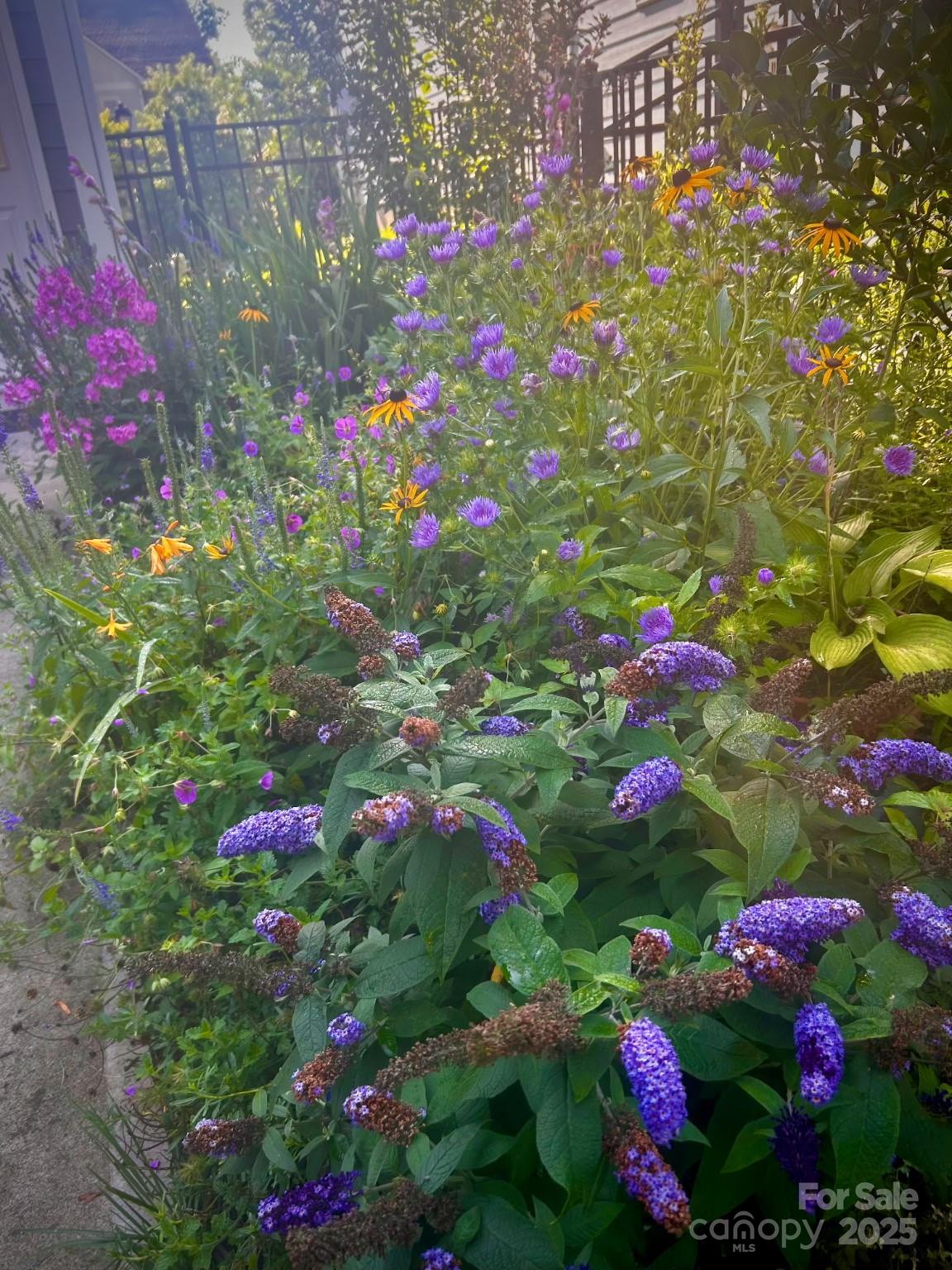 Davidson East - Residential