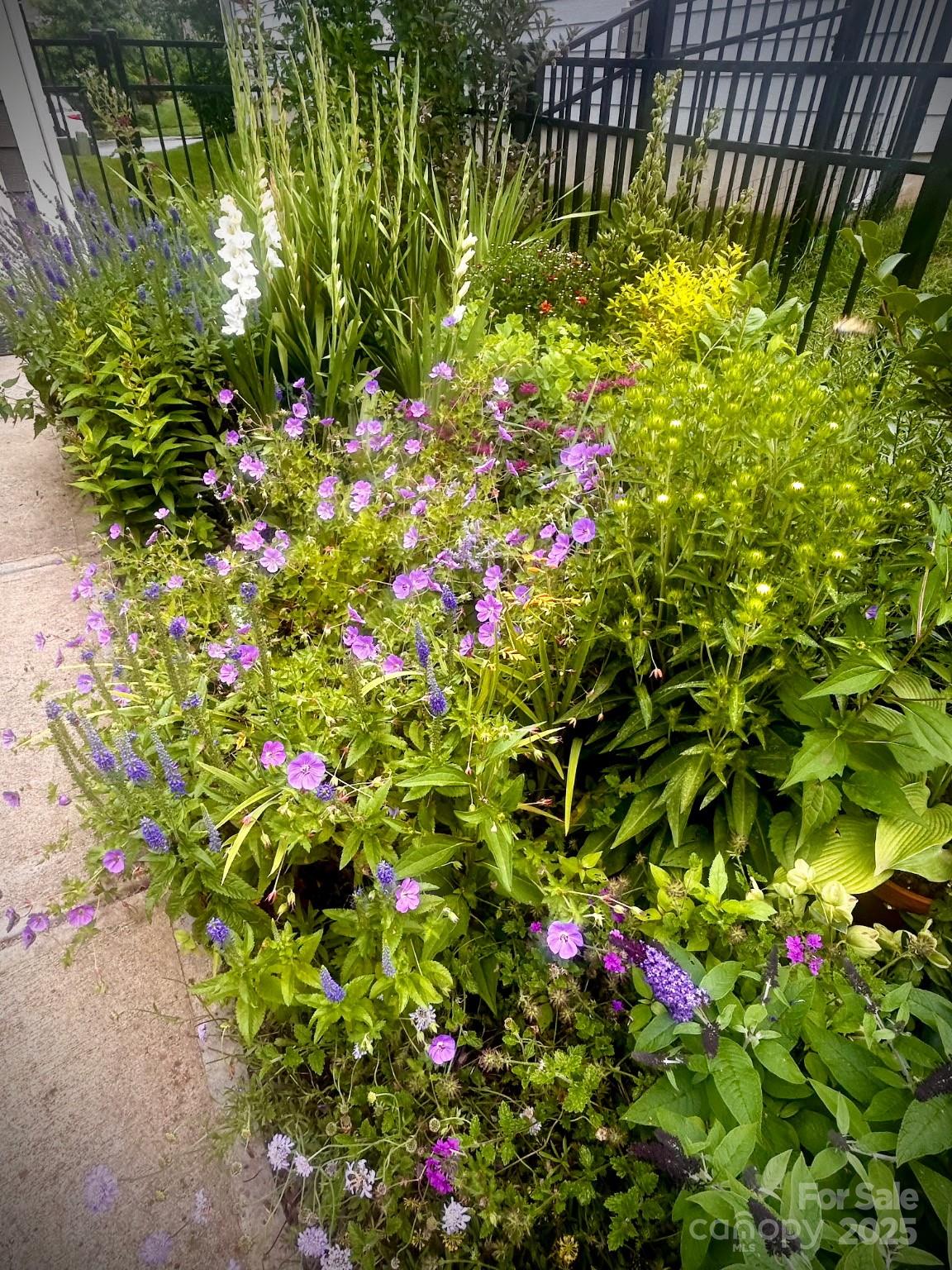 Davidson East - Residential