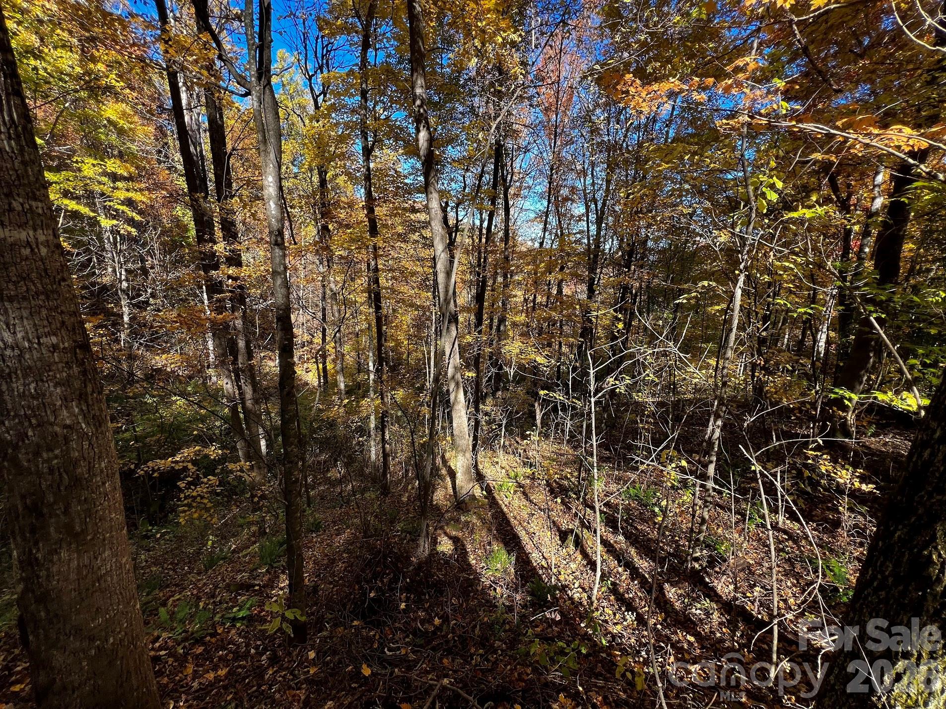 0000 Hemphill Road 3