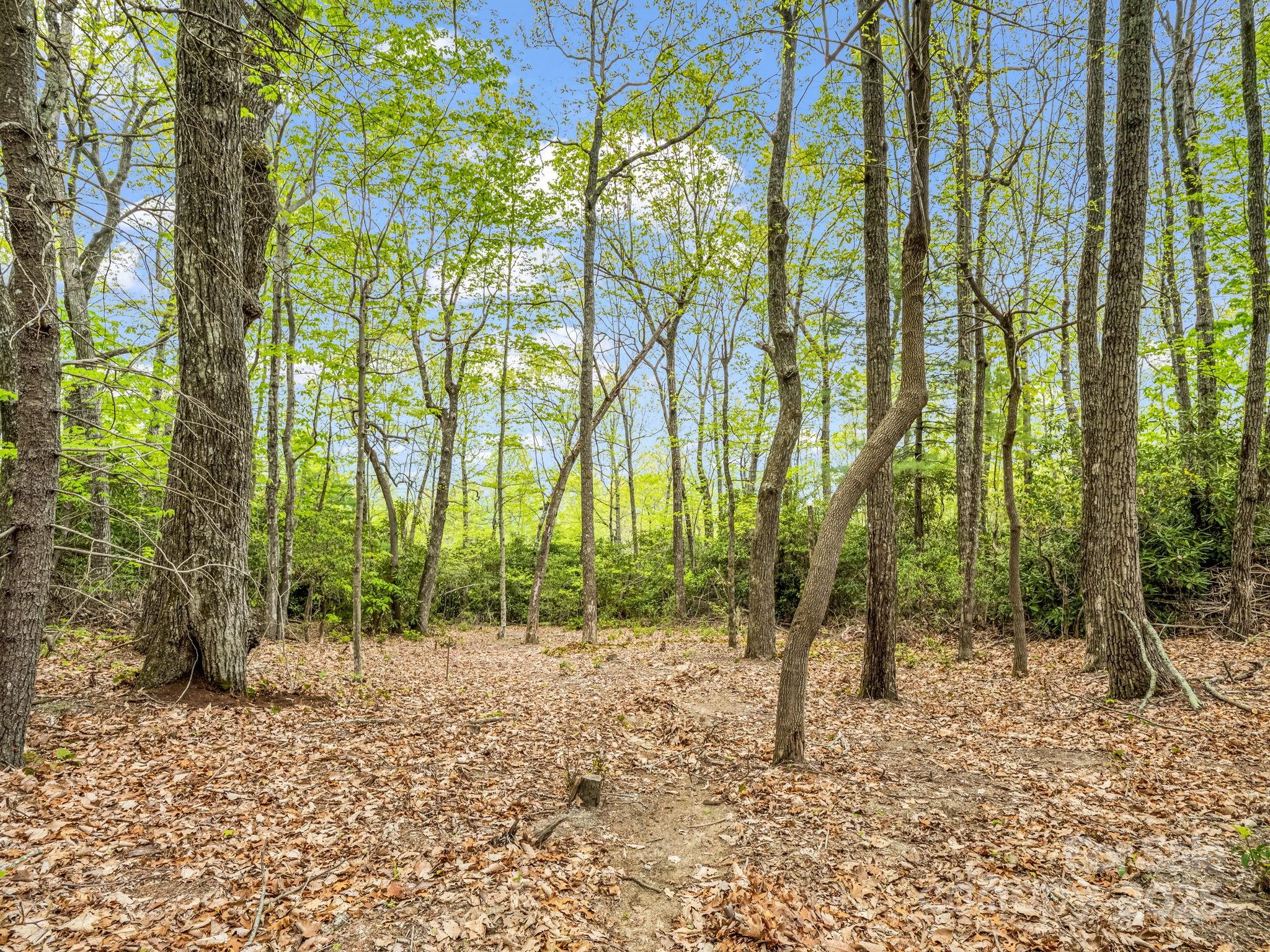 000 Pinnacle Mountain Road