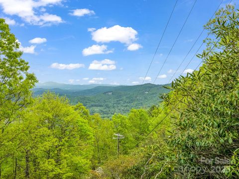 000 Pinnacle Mountain Road Hendersonville NC 28790