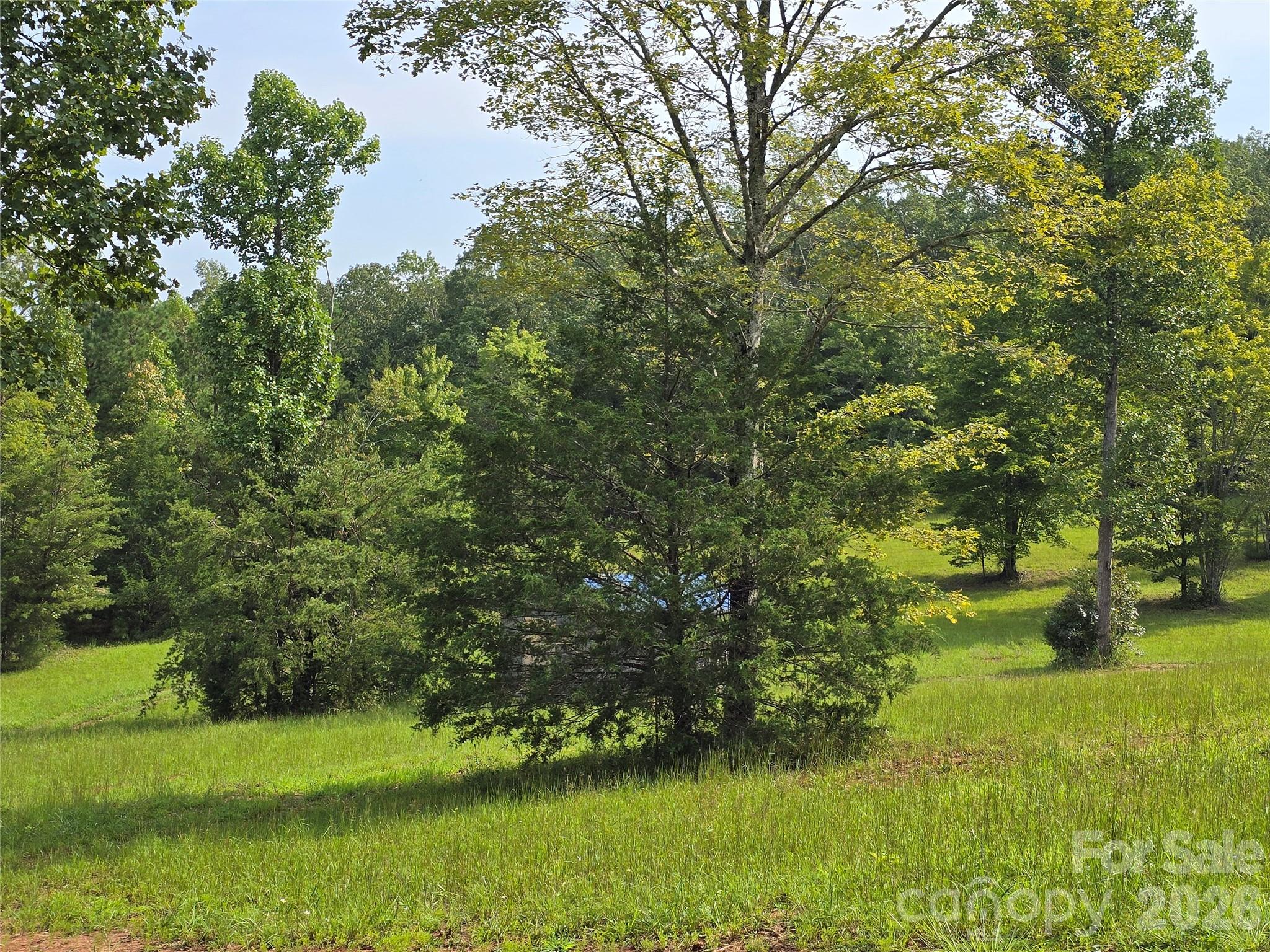 1696 Old CC Road