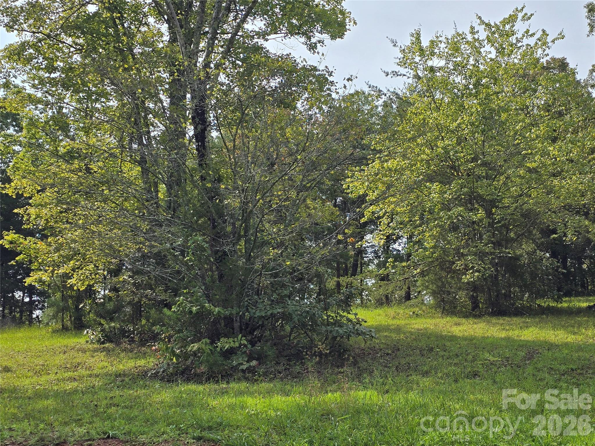 1696 Old CC Road
