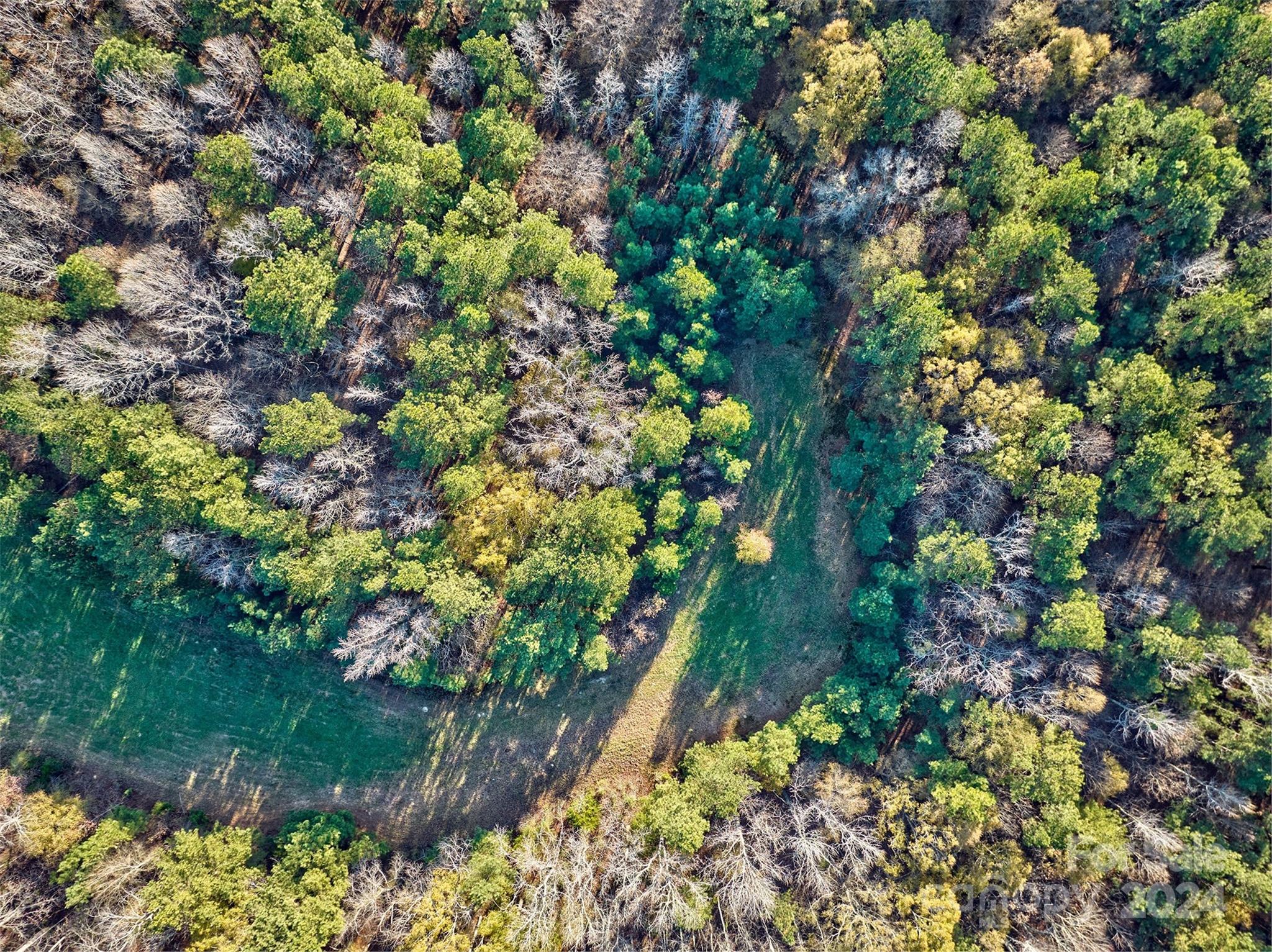 Olde York Farms - Land