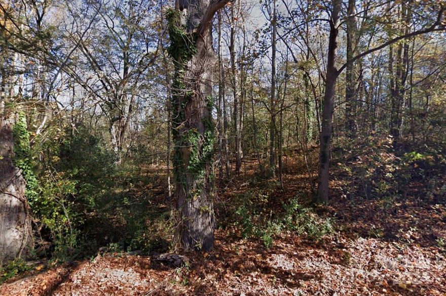 Looking for the right spot to build your home or next investment property? This may be the perfect lot for you! This .13 acre lot is located in the fast growing city of Rock Hill, SC!! It is just a few minutes drive from Historic Downtown! Call today for more information!!