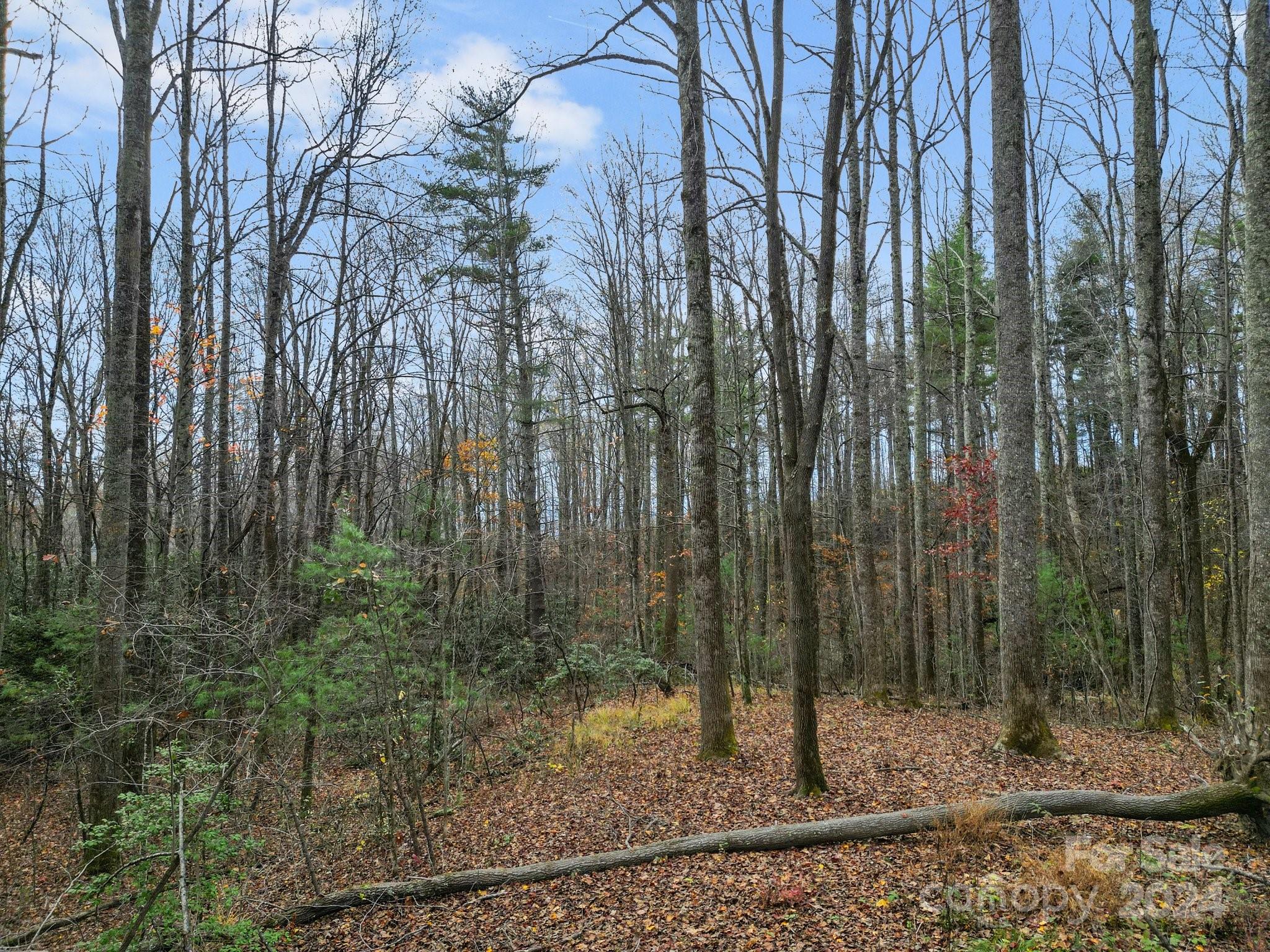 LOT 80 Mountain Grove Lane 80