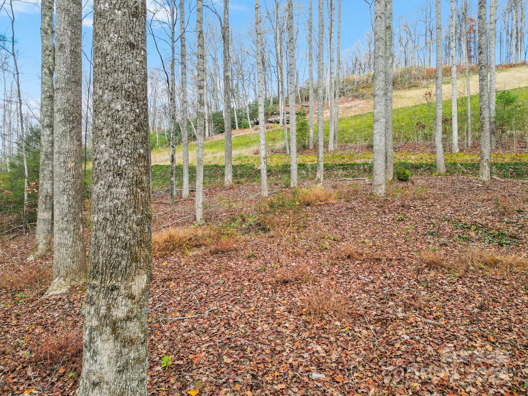 LOT 80 Mountain Grove Lane 80