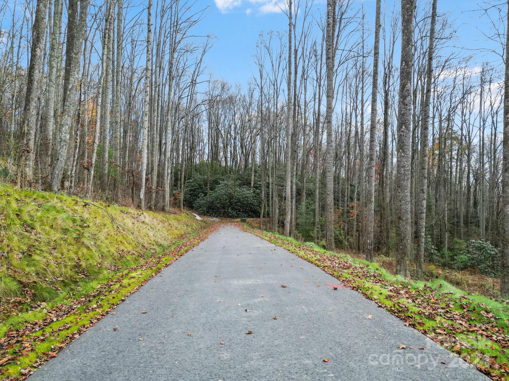 LOT 80 Mountain Grove Lane 80