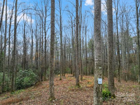 LOT 80 Mountain Grove Lane 80 Fletcher NC 28732