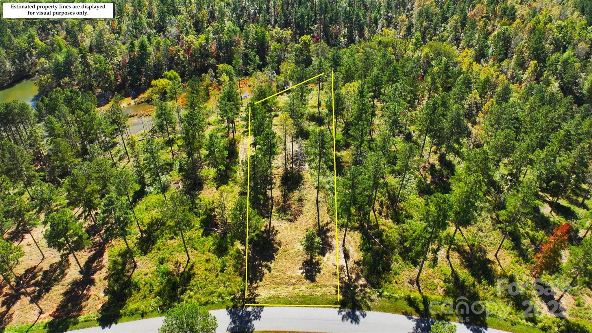 2172 Snowmass Drive 41