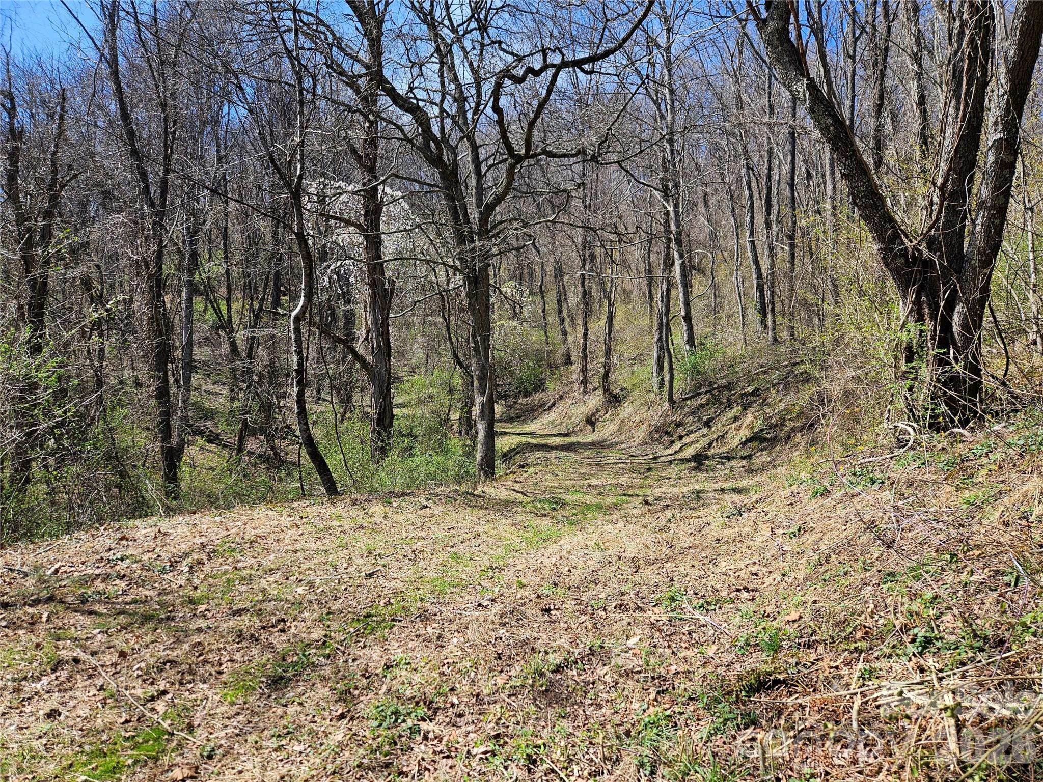 Laurel Ridge Country Club - Land