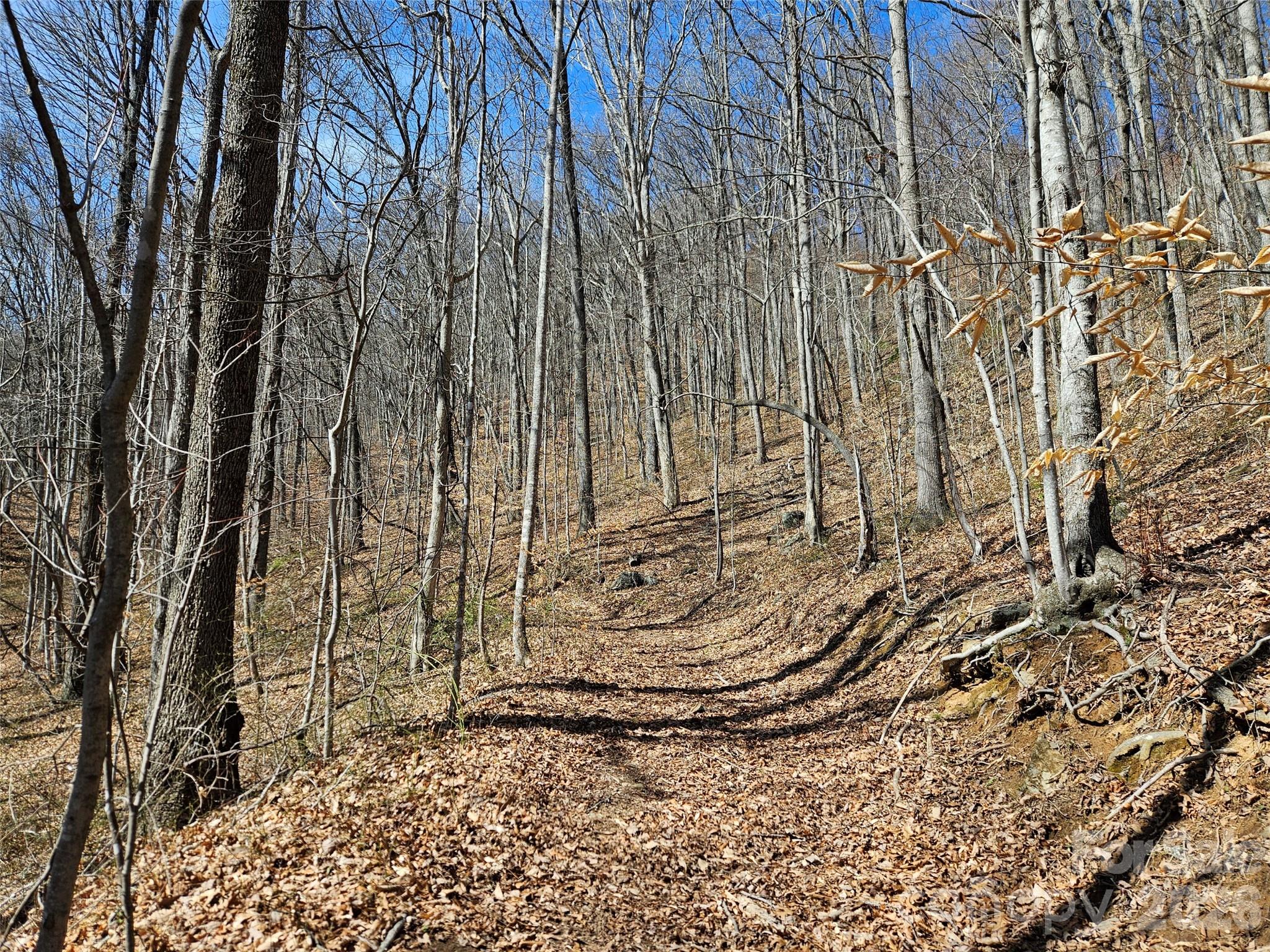 Laurel Ridge Country Club - Land