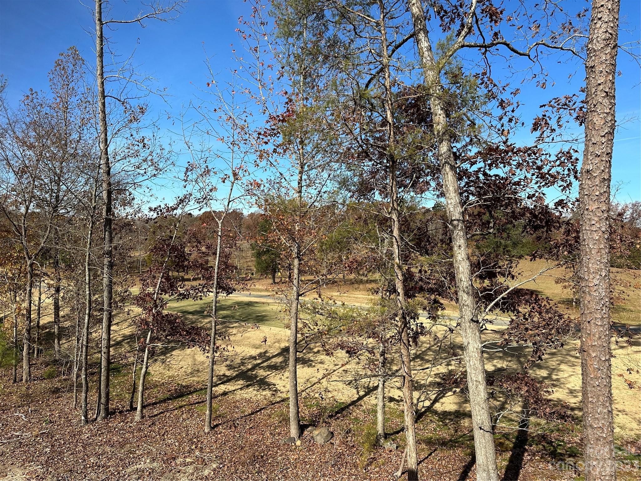 The Villages at Red Bridge - Residential