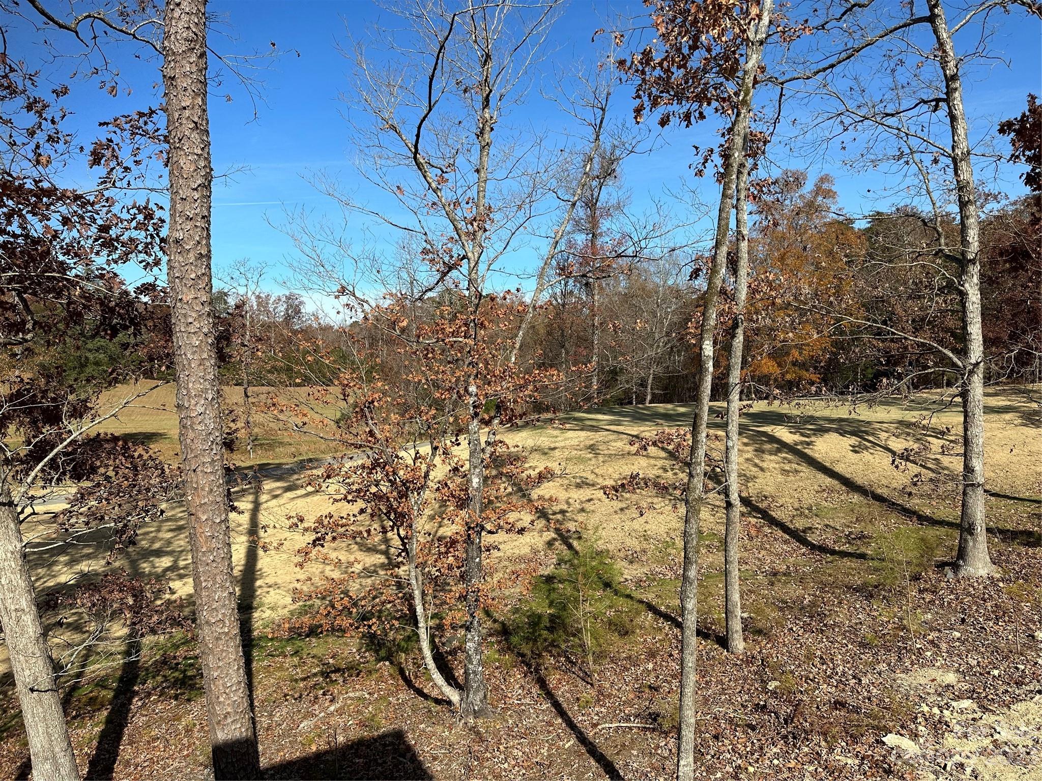 The Villages at Red Bridge - Residential