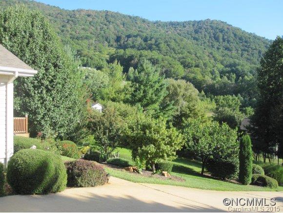 Raccoon Park - Residential