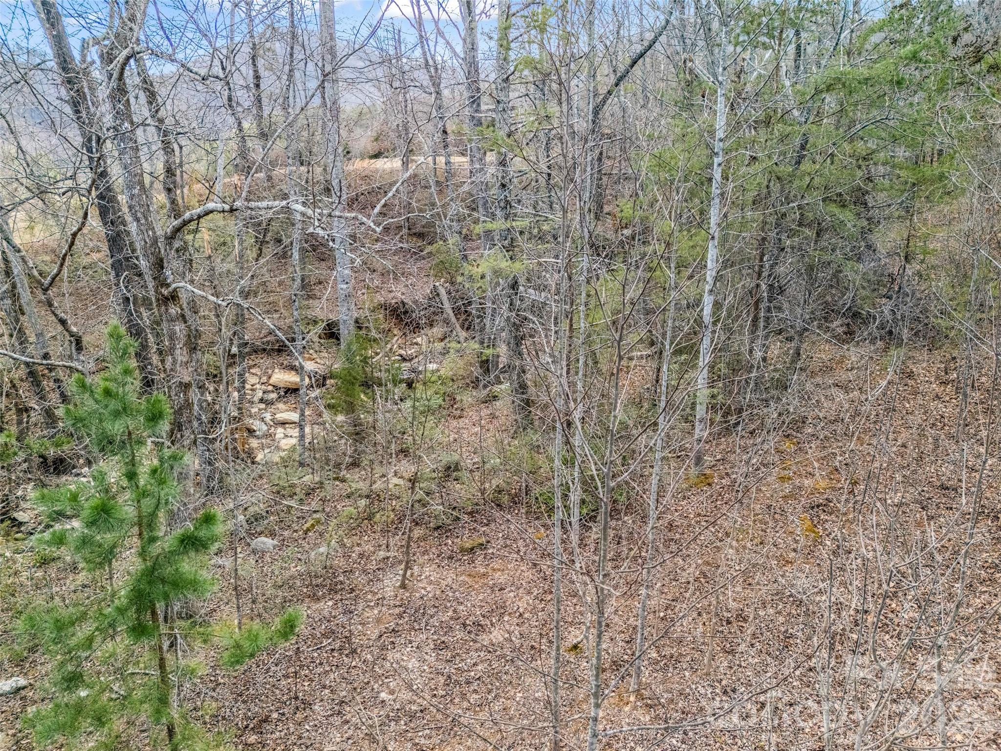 Brights Creek - Land