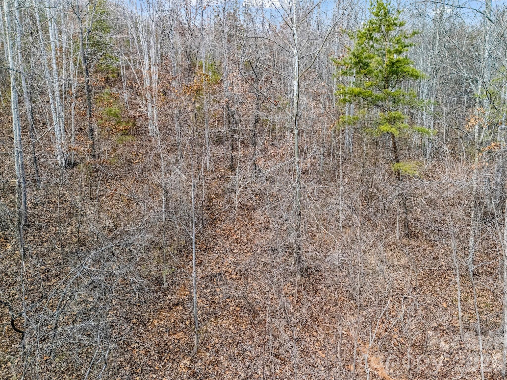 Brights Creek - Land