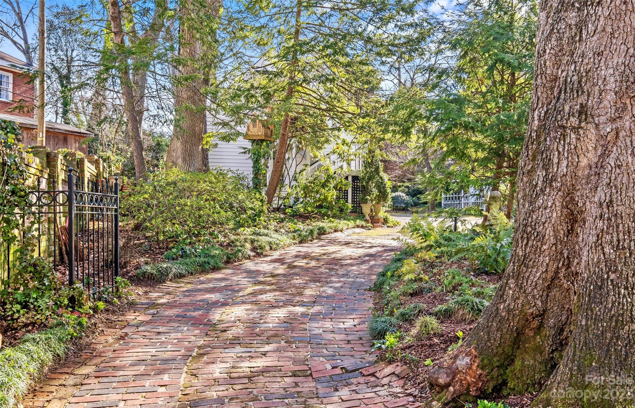 Myers Park - Residential