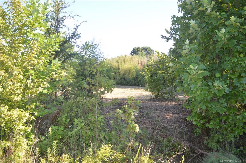 Canebreak Ridge - Land