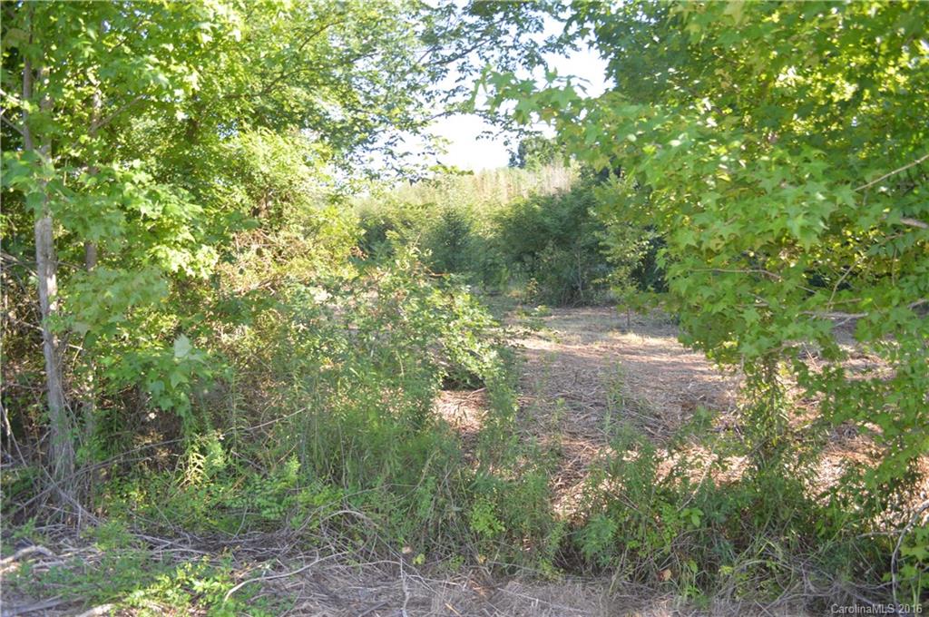 Canebreak Ridge - Land