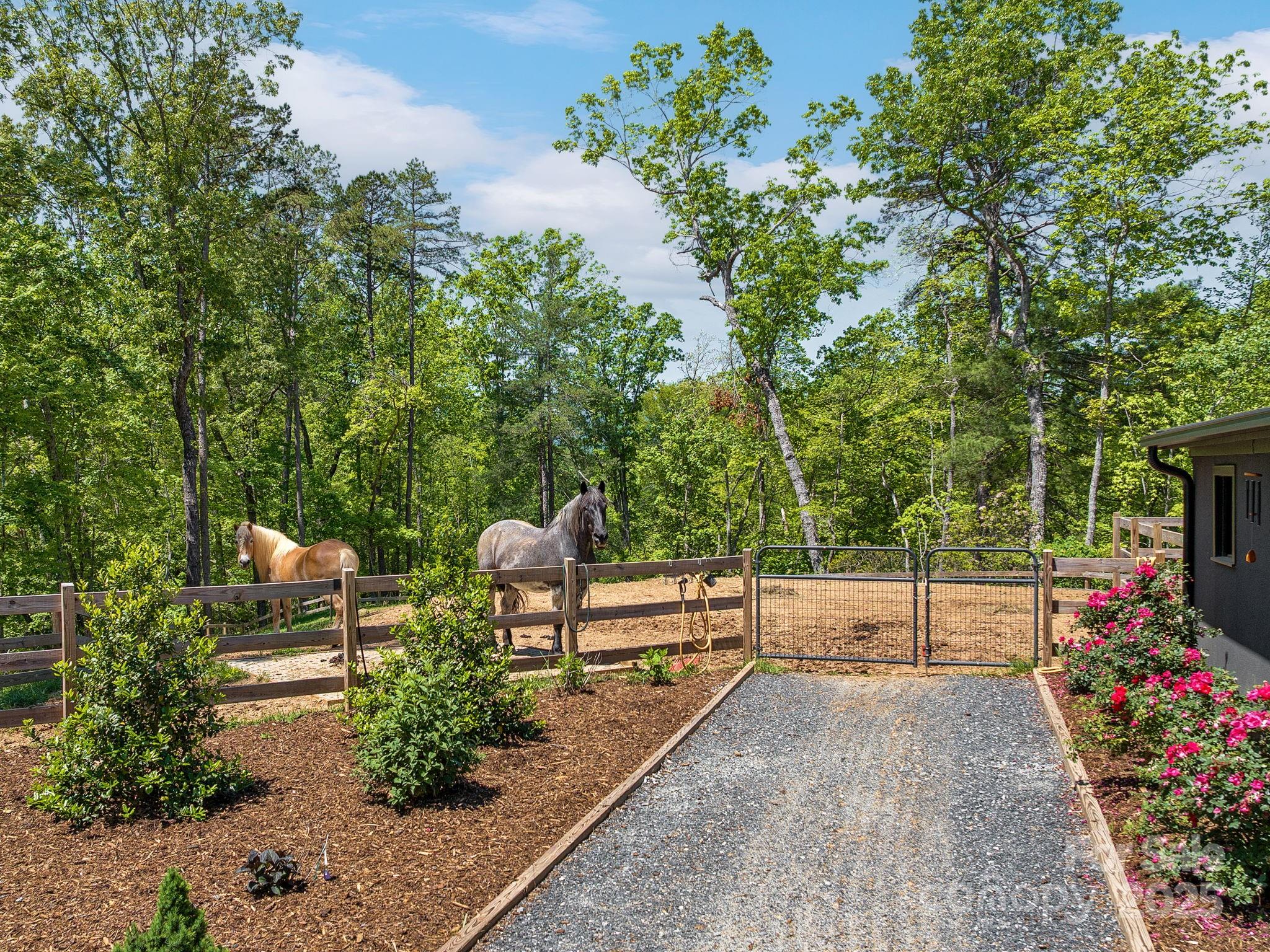 Lake Adger - Residential