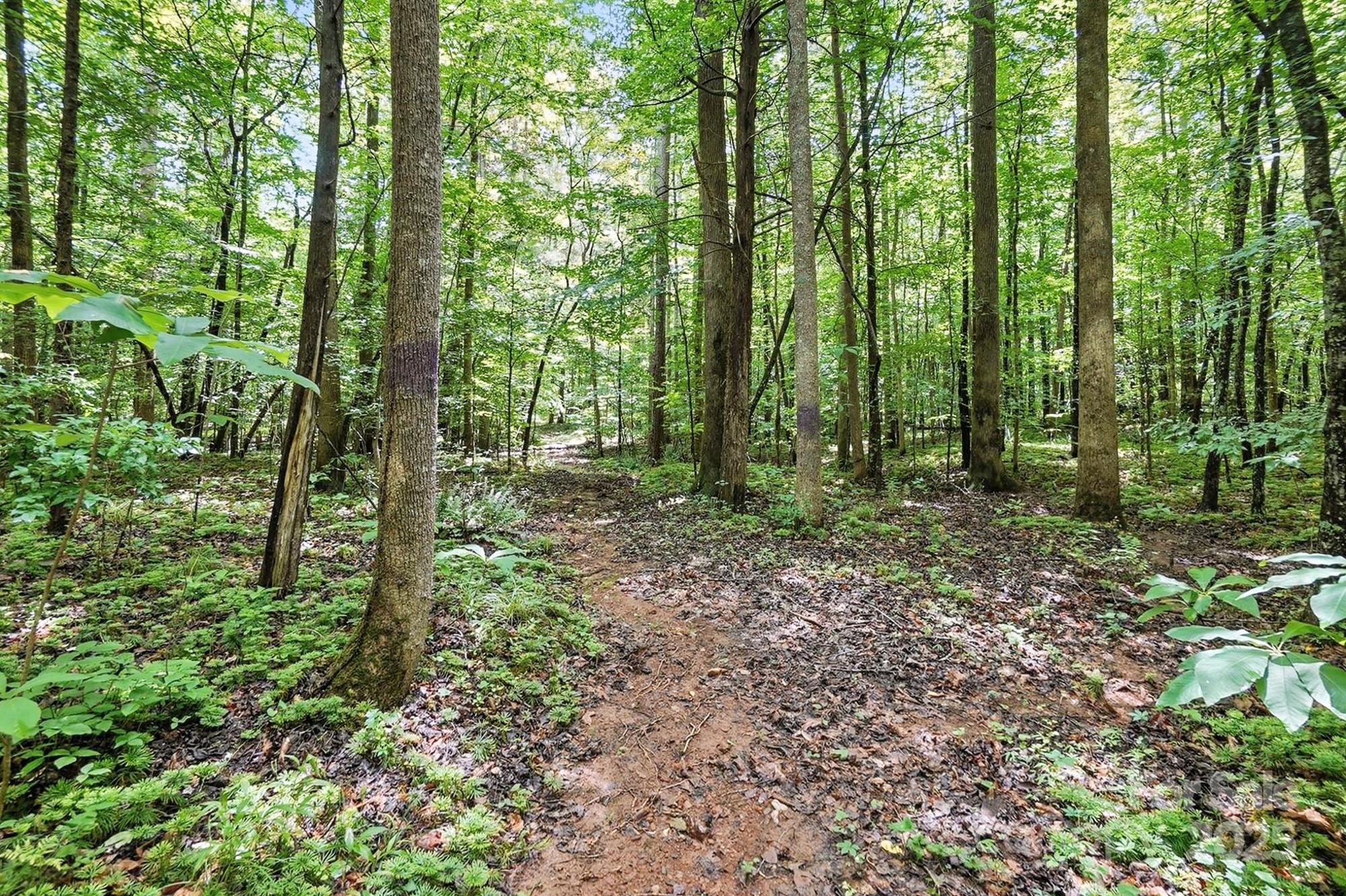 Hager Mountain - Land