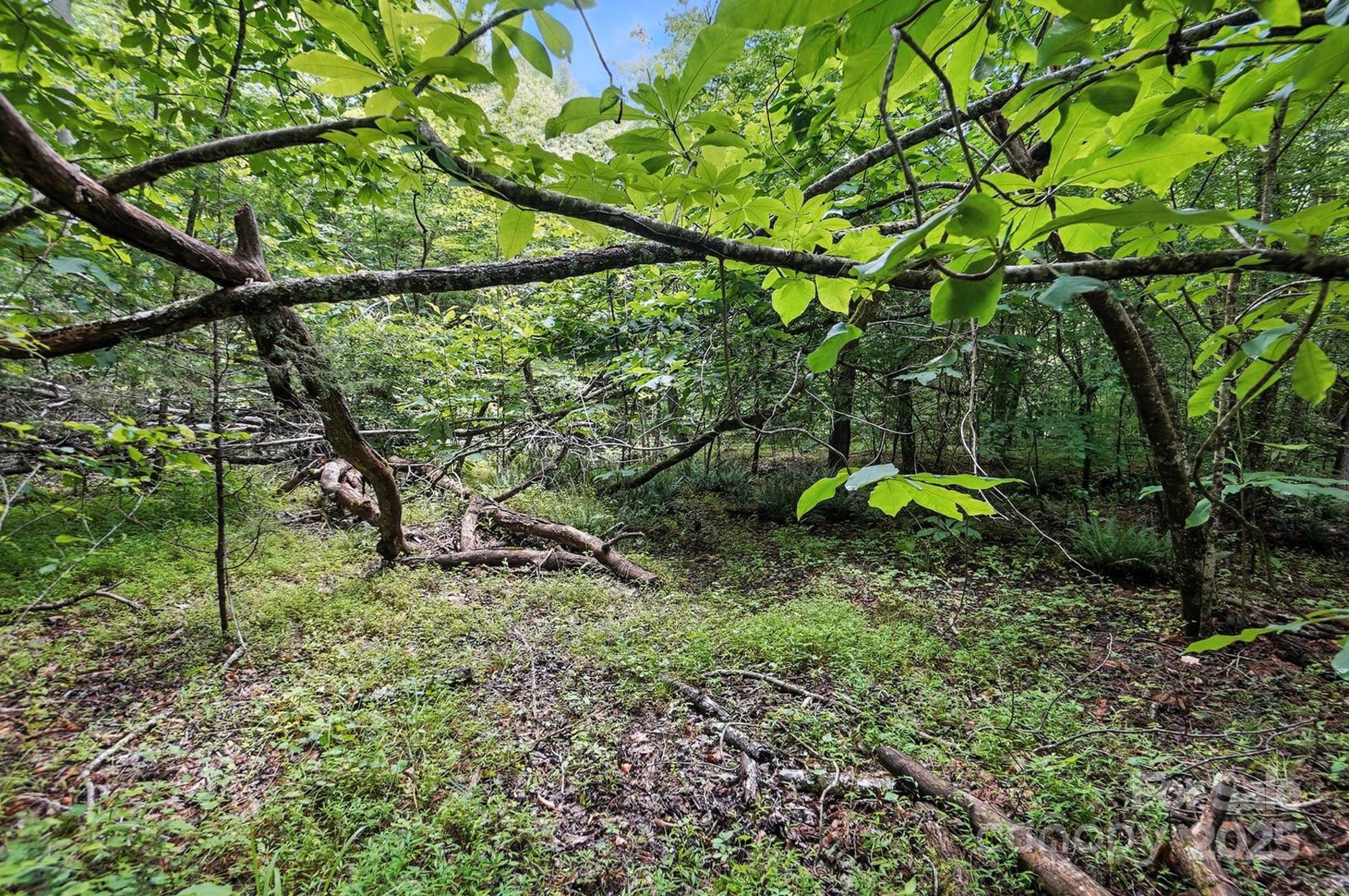 Hager Mountain - Land