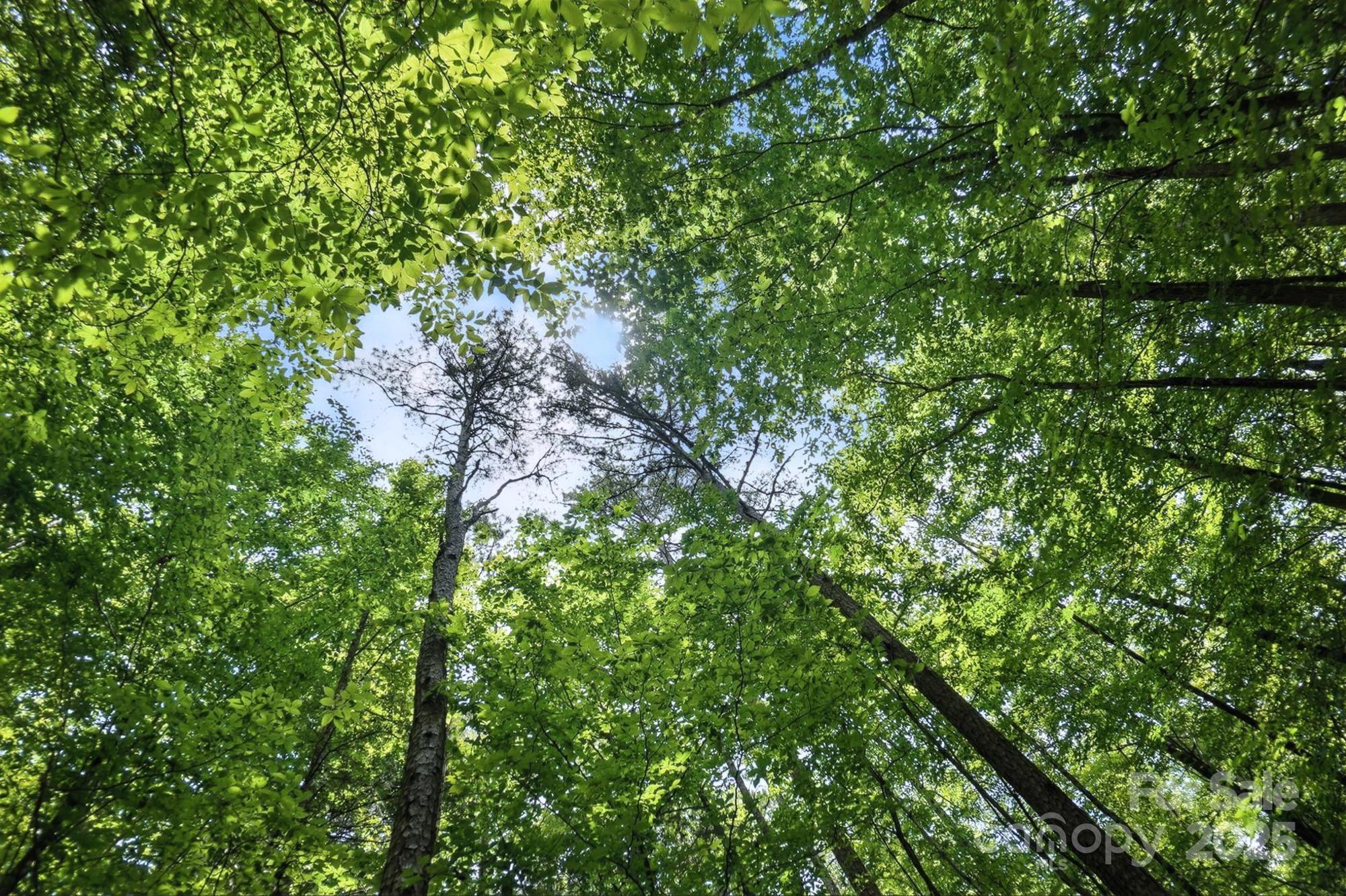 Hager Mountain - Land