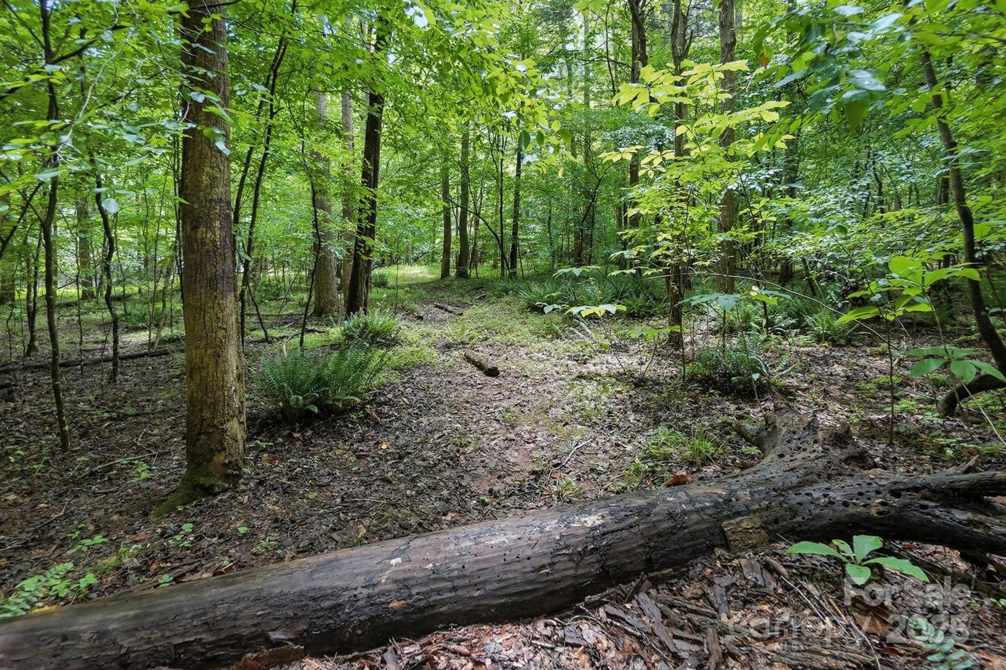 Hager Mountain - Land