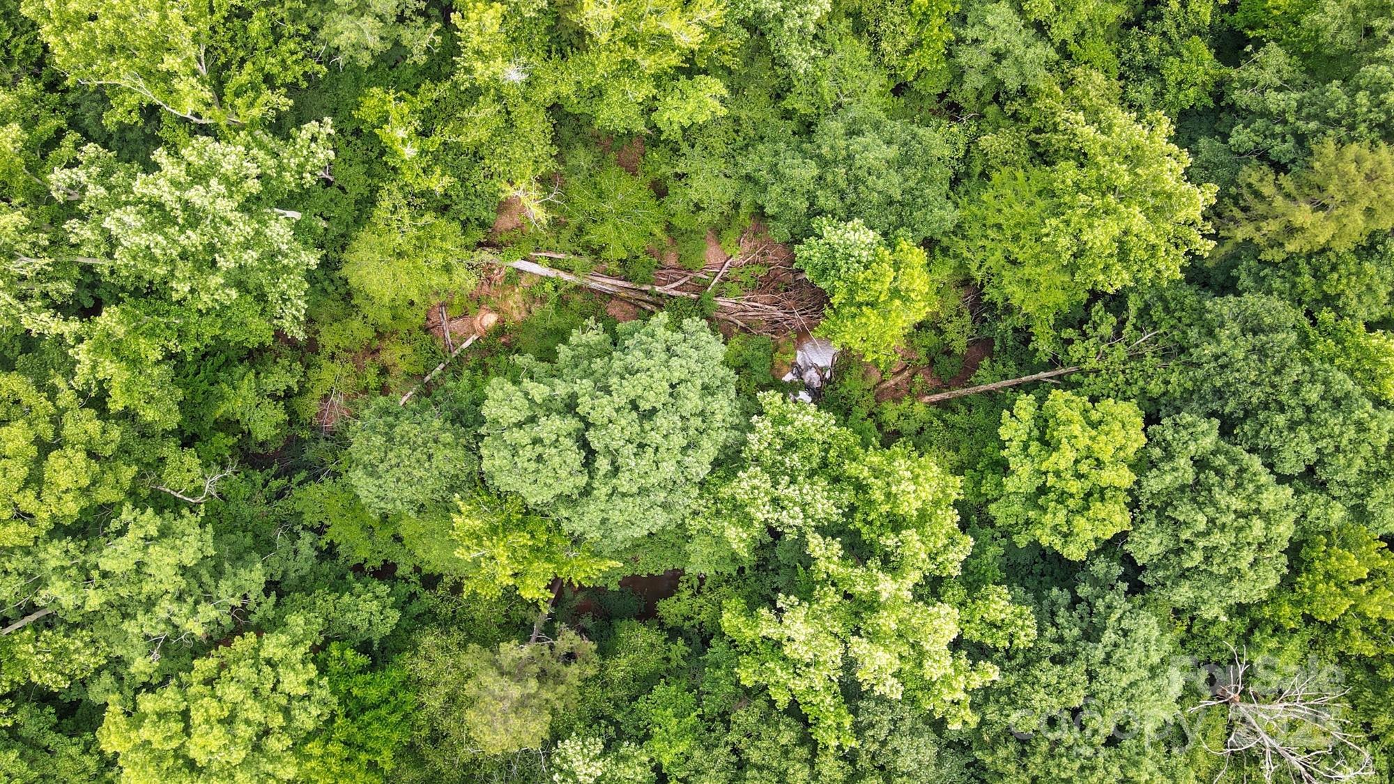 Hager Mountain - Land