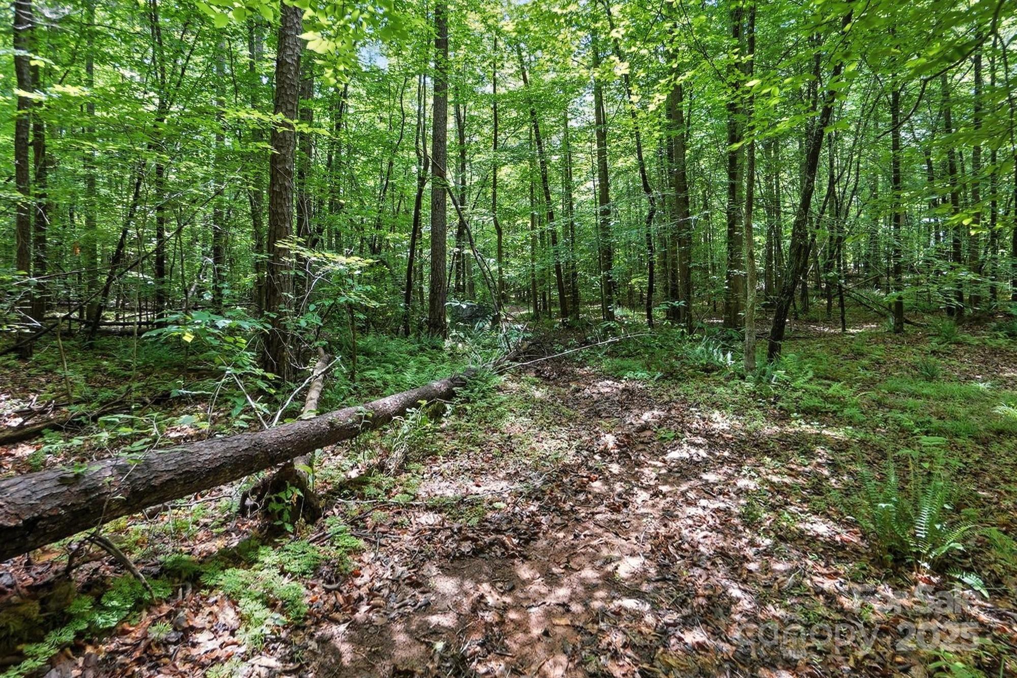 Hager Mountain - Land