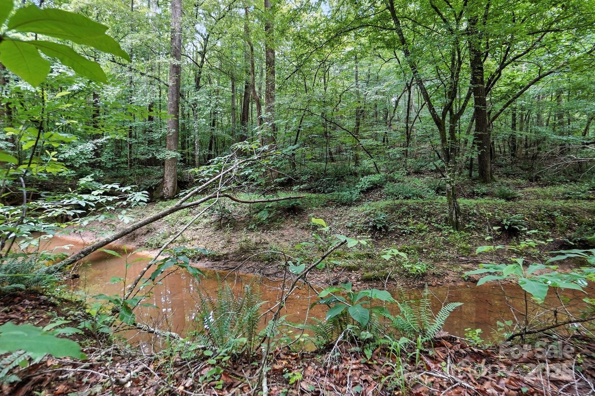 Hager Mountain - Land