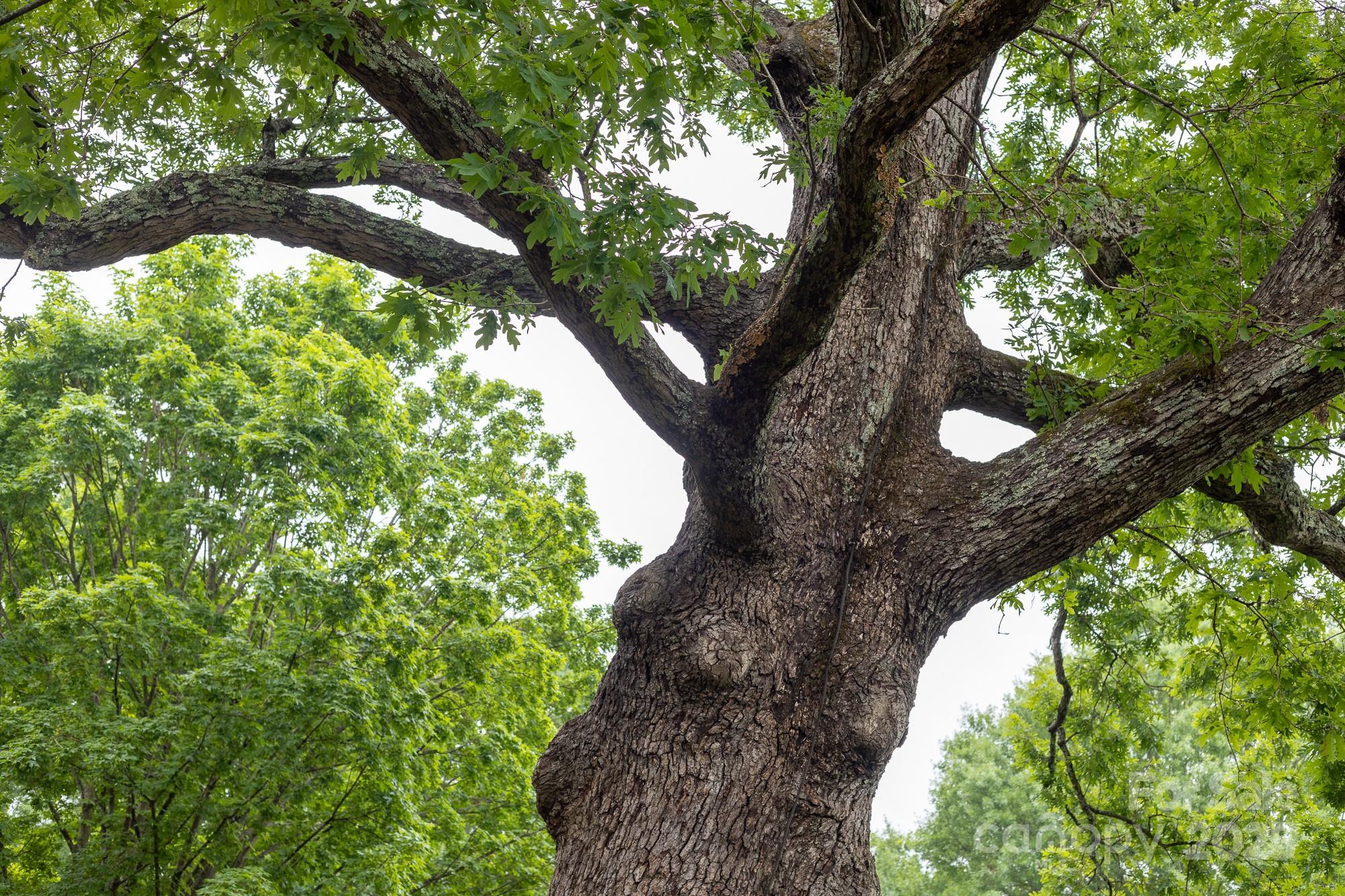 The Peninsula - Residential